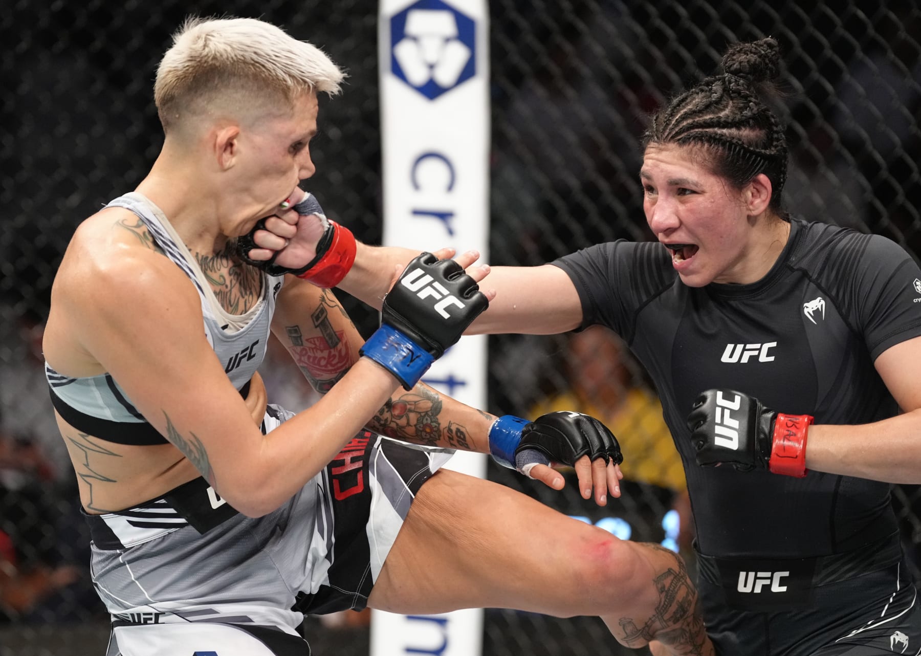 LAS VEGAS, NEVADA - SEPTEMBER 10: (R-L) Irene Aldana of Mexico punches Macy Chiasson in a 140-pound catchweight fight during the UFC 279 event at T-Mobile Arena on September 10, 2022 in Las Vegas, Nevada. (Photo by Jeff Bottari/Zuffa LLC)