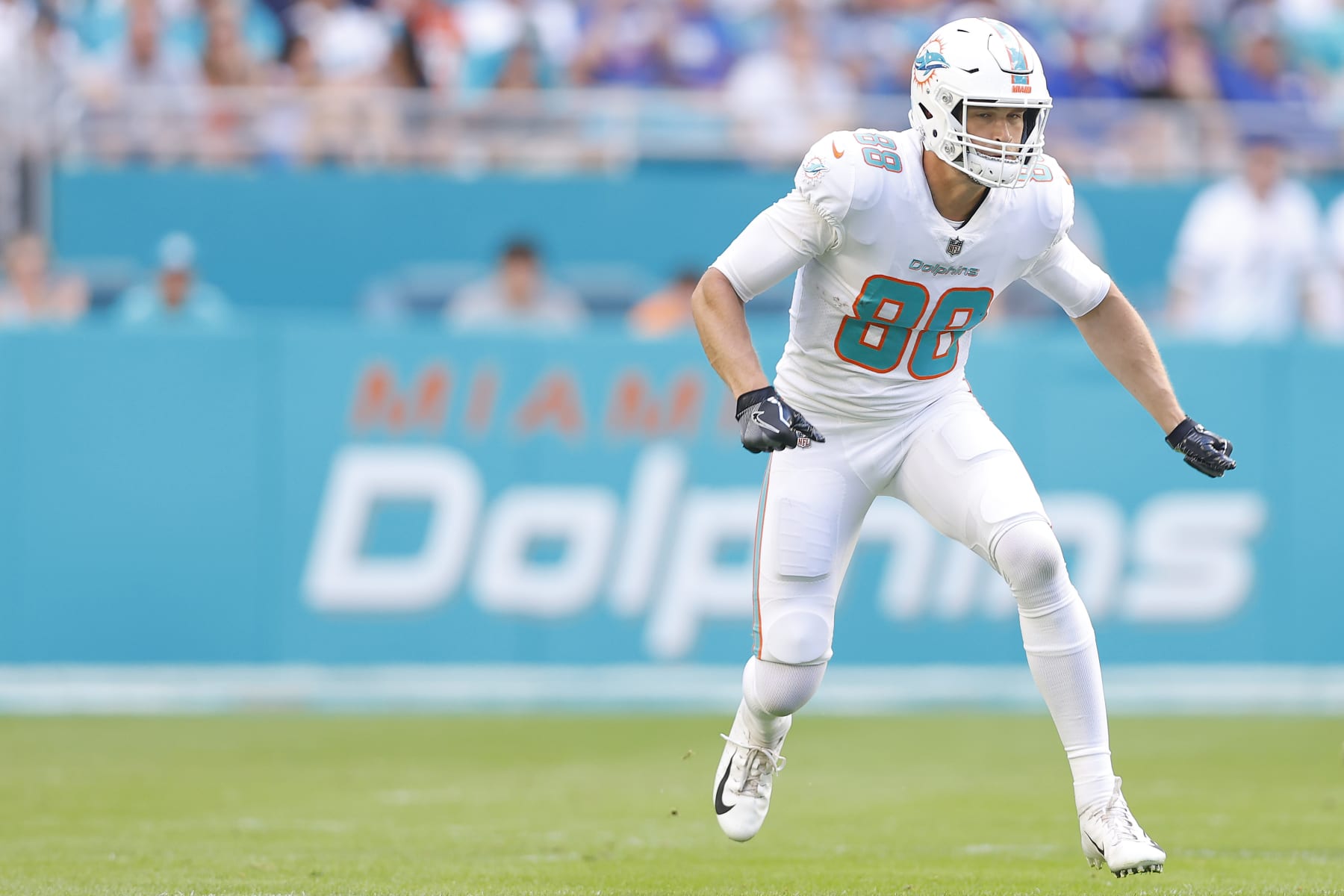 MIAMI GARDENS, FLORIDA - DECEMBER 05: Mike Gesicki #88 of the Miami Dolphins in action against the New York Giants at Hard Rock Stadium on December 05, 2021 in Miami Gardens, Florida. (Photo by Michael Reaves/Getty Images)
