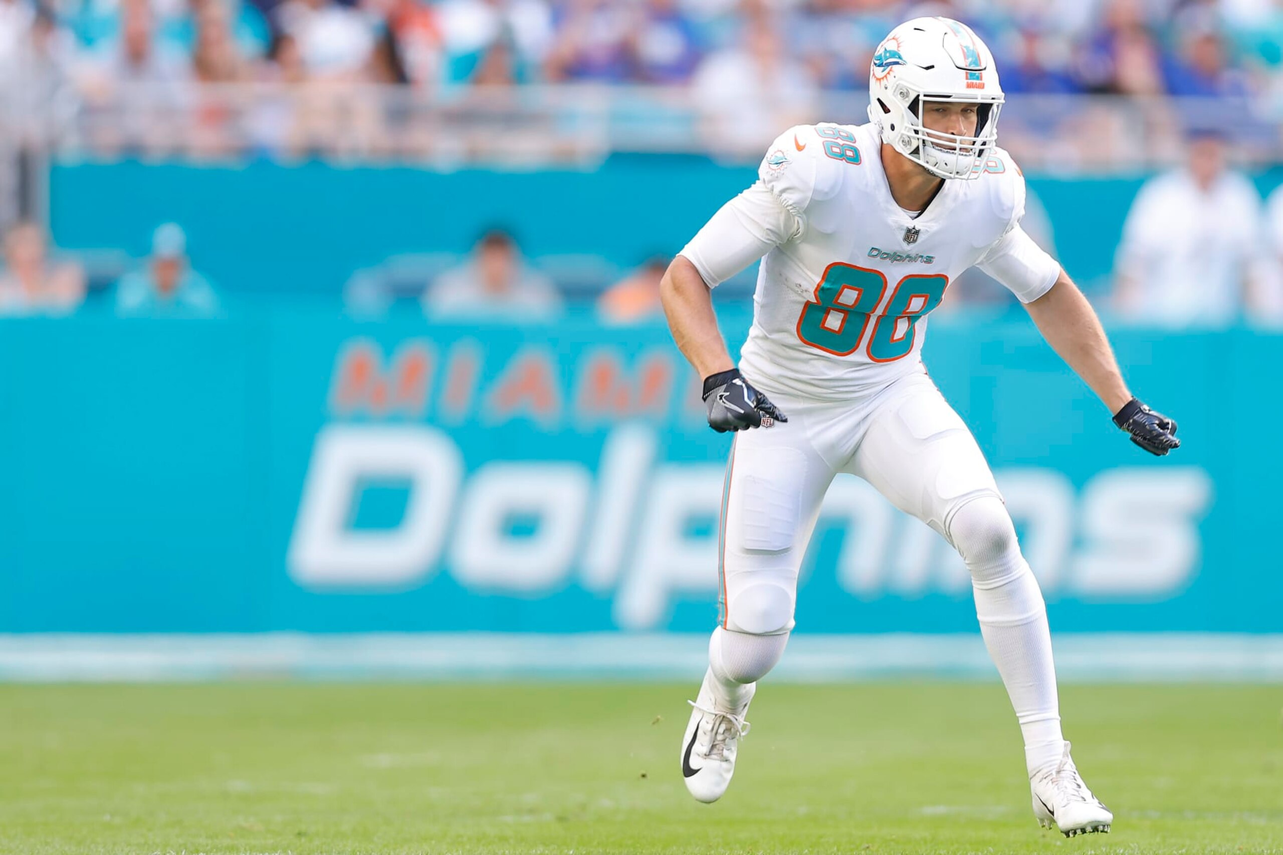MIAMI GARDENS, FLORIDA - DECEMBER 05: Mike Gesicki #88 of the Miami Dolphins in action against the New York Giants at Hard Rock Stadium on December 05, 2021 in Miami Gardens, Florida. (Photo by Michael Reaves/Getty Images)