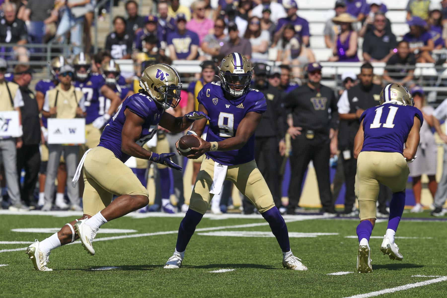 SEATTLE, WA - SEPTEMBER 10: Washington #8 (QB) Michael Penix Jr hands the ball off to #22 (RB) Cameron Davis during a college football game between the Washington Huskies and the Portland State Vikings on September 10, 2022, at Husky Stadium in Seattle, WA. (Photo by Jesse Beals/Icon Sportswire via Getty Images) SEATTLE, WA - SEPTEMBER 10: Washington #8 (QB) Michael Penix Jr hands the ball off to #22 (RB) Cameron Davis during a college football game between the Washington Huskies and the Portland State Vikings on September 10, 2022, at Husky Stadium in Seattle, WA. (Photo by Jesse Beals/Icon Sportswire via Getty Images)