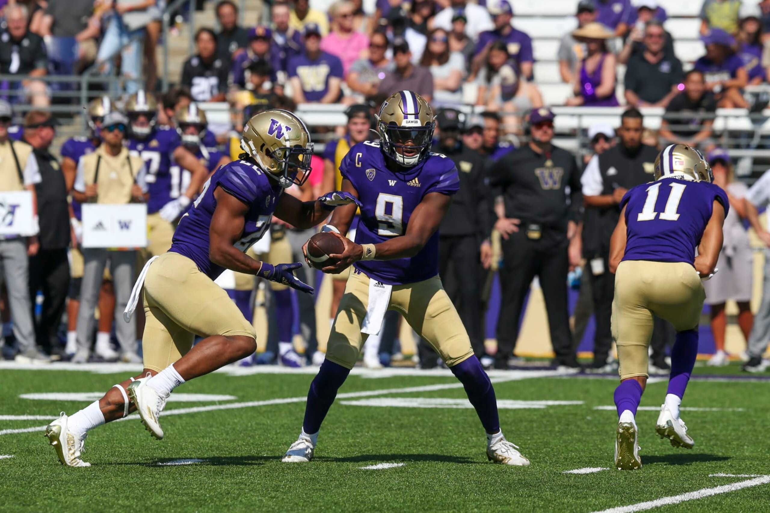 SEATTLE, WA - SEPTEMBER 10: Washington #8 (QB) Michael Penix Jr hands the ball off to #22 (RB) Cameron Davis during a college football game between the Washington Huskies and the Portland State Vikings on September 10, 2022, at Husky Stadium in Seattle, WA. (Photo by Jesse Beals/Icon Sportswire via Getty Images)