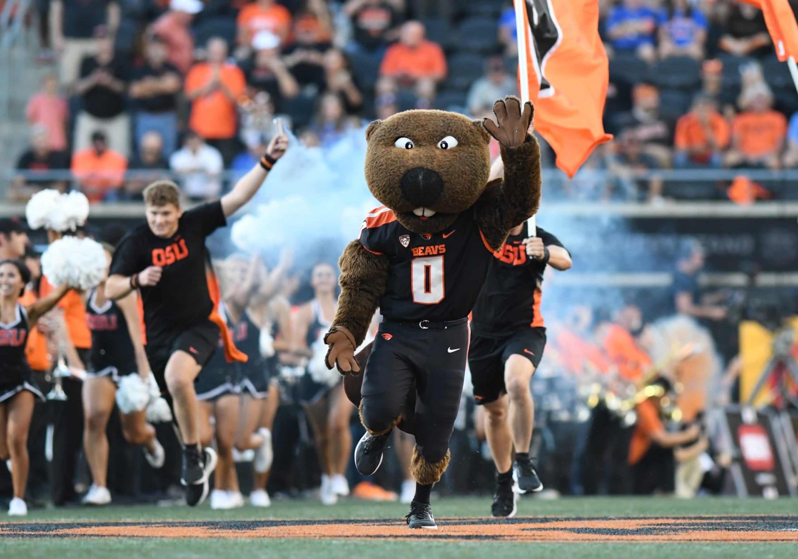 CORVALLIS, OR - SEPTEMBER 03: Oregon State mascot, Benny, takes the field during a college football game between the Boise State Broncos and Oregon State Beavers on September 3, 2022, at Reser Stadium in Corvallis, Oregon.(Photo by Brian Murphy/Icon Sportswire via Getty Images)