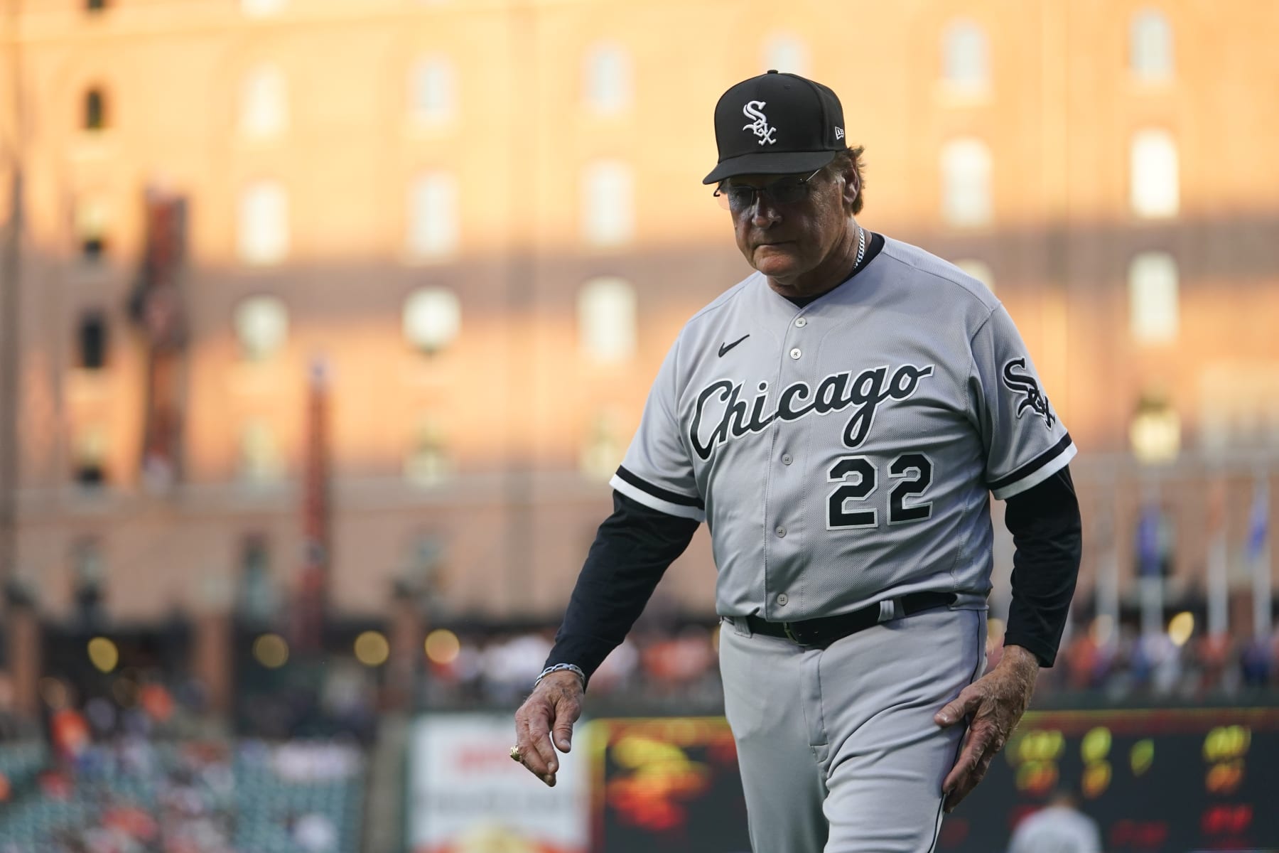 Chicago White Sox manager Tony La Russa heads to the dugout during the first inning of a baseball game, Tuesday, Aug. 23, 2022, in Baltimore. (AP Photo/Julio Cortez)