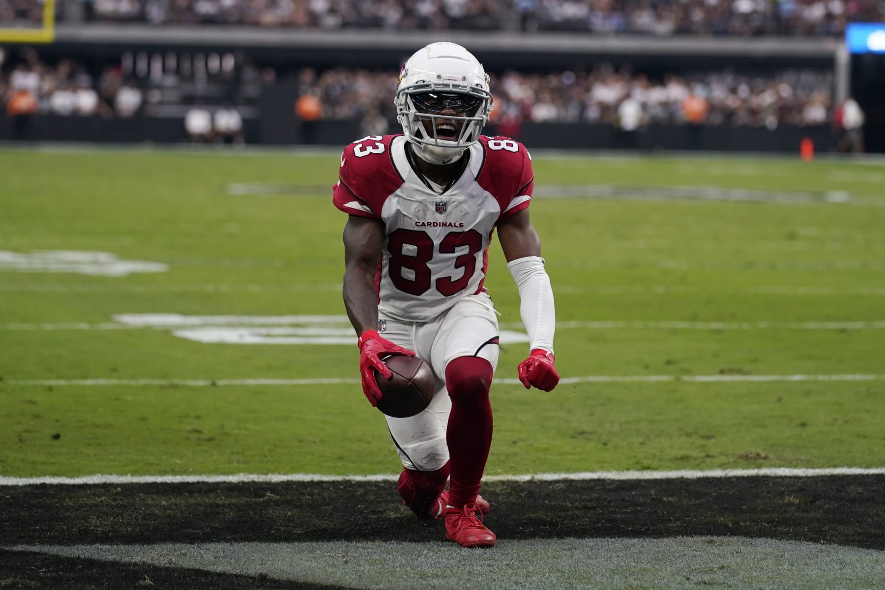 Arizona Cardinals wide receiver Greg Dortch (83) celebrates after a touchdown catch during the second half of an NFL football game against the Las Vegas Raiders Sunday, Sept. 18, 2022, in Las Vegas. (AP Photo/John Locher)