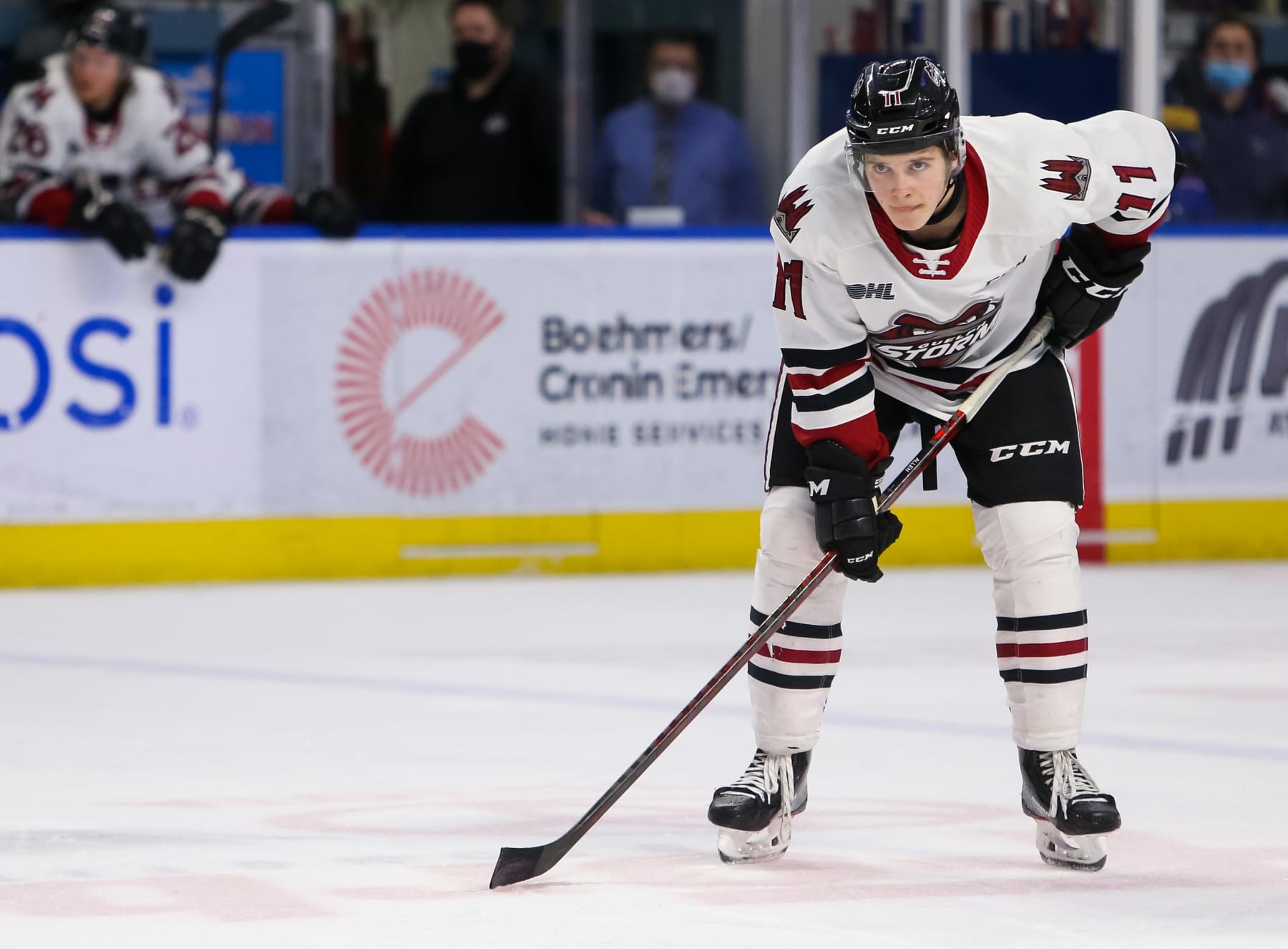 KITCHENER, ONTARIO - MARCH 20: Cam Allen #11 of the Guelph Storm skates against the Kitchener Rangers at Kitchener Memorial Auditorium on March 20, 2022 in Kitchener, Ontario. (Photo by Chris Tanouye/Getty Images)