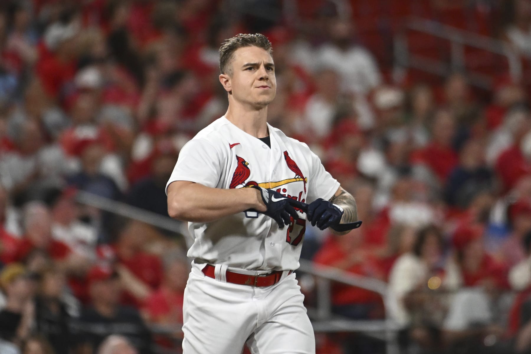 St. Louis Cardinals' Tyler O'Neill looks on after striking out in the fourth inning of a baseball game against the Cincinnati Reds on Thursday Sept. 15, 2022, in St. Louis. (AP Photo/Joe Puetz)
