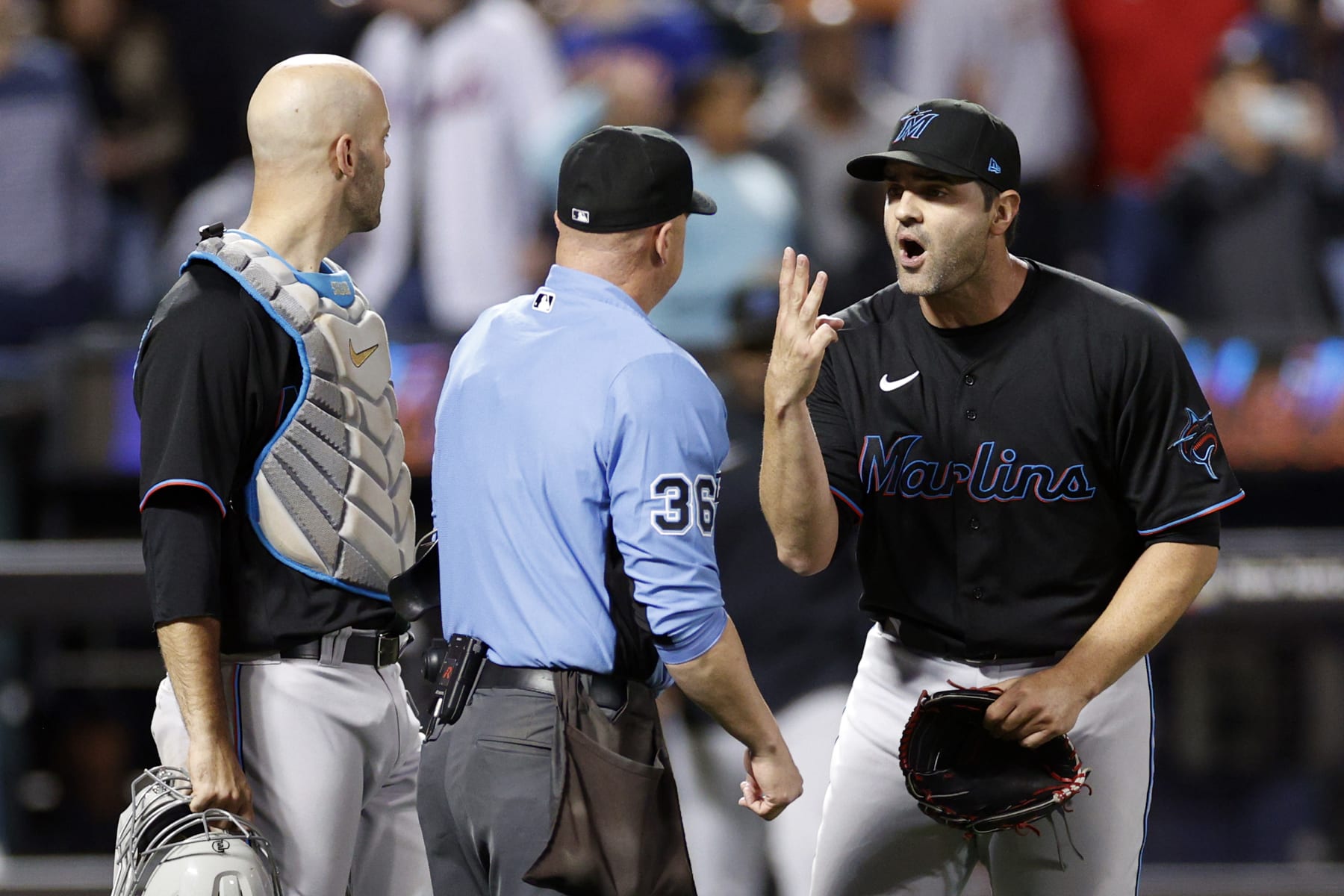 NEW YORK, NEW YORK - SEPTEMBER 27: Jacob Stallings #58 looks on as Richard Bleier #35 of the Miami Marlins reacts toward a call by umpire Ryan Blakney #36 during the eighth inning against the New York Mets at Citi Field on September 27, 2022 in the Queens borough of New York City. (Photo by Sarah Stier/Getty Images)