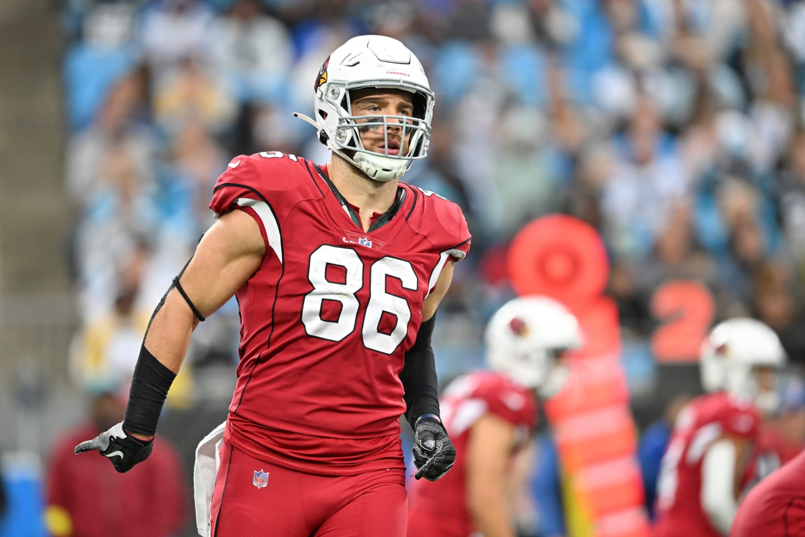 CHARLOTTE, NORTH CAROLINA - OCTOBER 02: Zach Ertz #86 of the Arizona Cardinals goes in motion against the Carolina Panthers during their game at Bank of America Stadium on October 02, 2022 in Charlotte, North Carolina. (Photo by Grant Halverson/Getty Images)