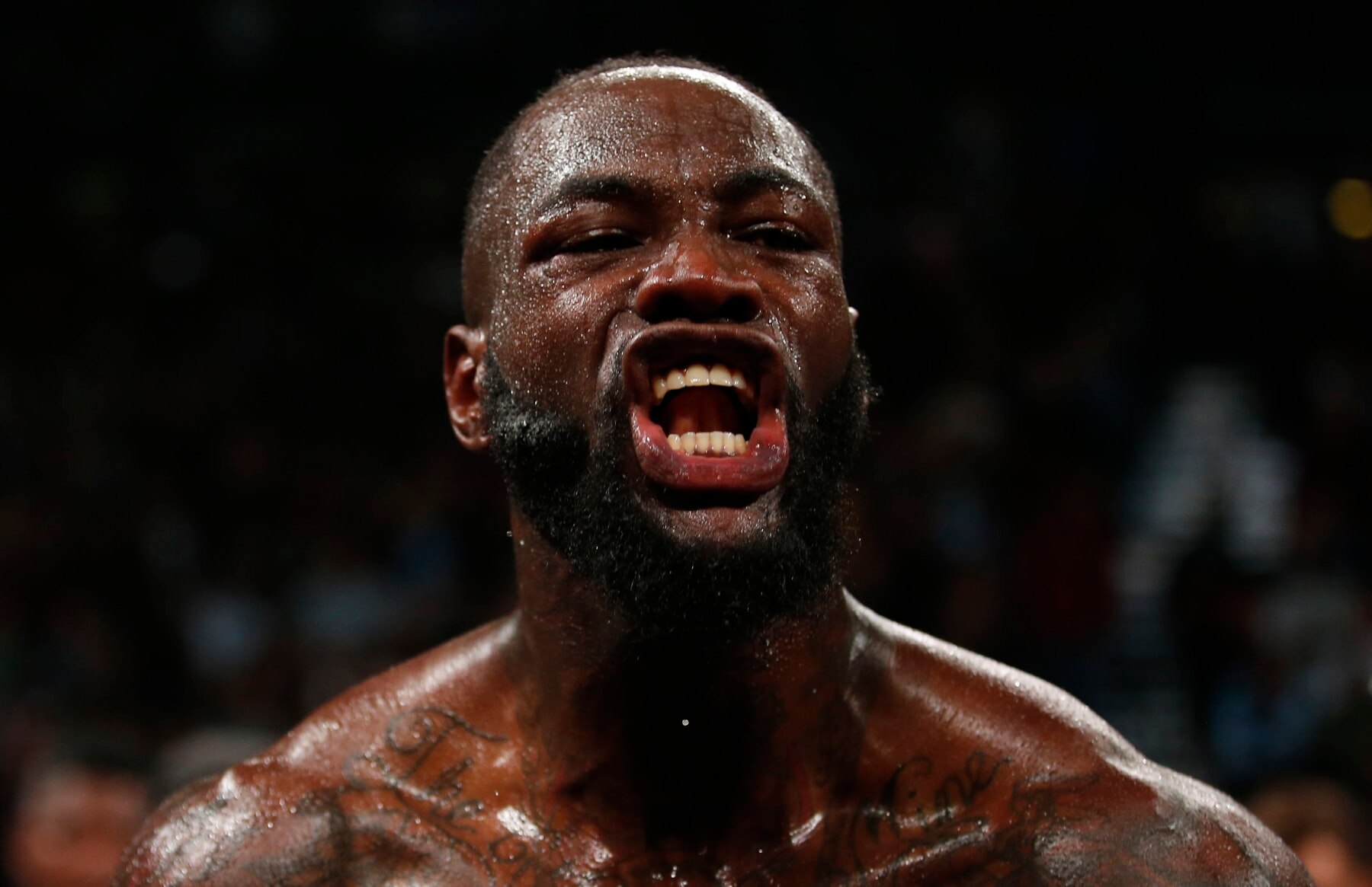 LAS VEGAS, NEVADA - NOVEMBER 23:  WBC heavyweight champion Deontay Wilder celebrates after defeating Luis Ortiz in their title fight at MGM Grand Garden Arena on November 23, 2019 in Las Vegas, Nevada. Wilder retained his title with a seventh-round knockout.  (Photo by Steve Marcus/Getty Images)