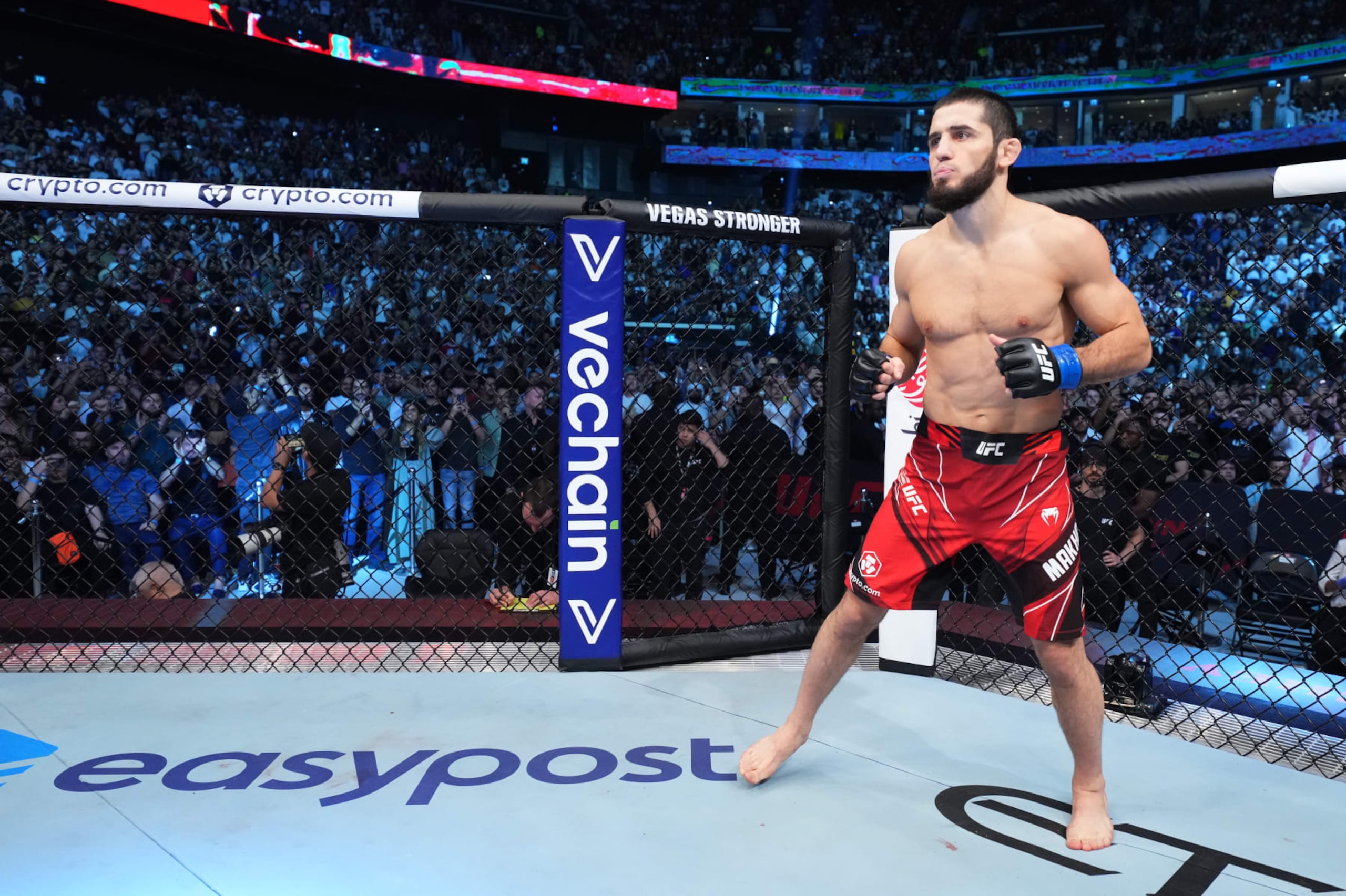 ABU DHABI, UNITED ARAB EMIRATES - OCTOBER 22: Islam Makhachev of Russia prepares to fight Charles Oliveira of Brazil in their UFC lightweight championship fight during the UFC 280 event at Etihad Arena on October 22, 2022 in Abu Dhabi, United Arab Emirates. (Photo by Chris Unger/Zuffa LLC)