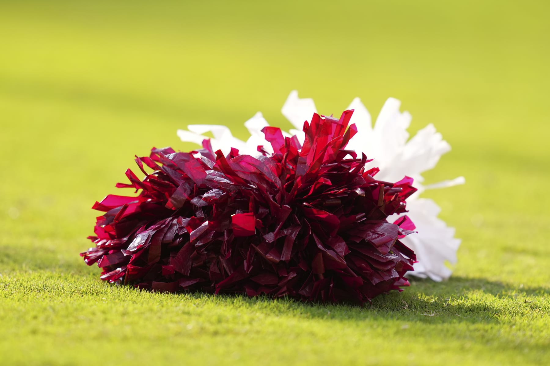 PHILADELPHIA, PA - SEPTEMBER 17: A detailed view of the Temple Owls cheerleader pom poms against the Rutgers Scarlet Knights at Lincoln Financial Field on September 17, 2022 in Philadelphia, Pennsylvania. (Photo by Mitchell Leff/Getty Images)