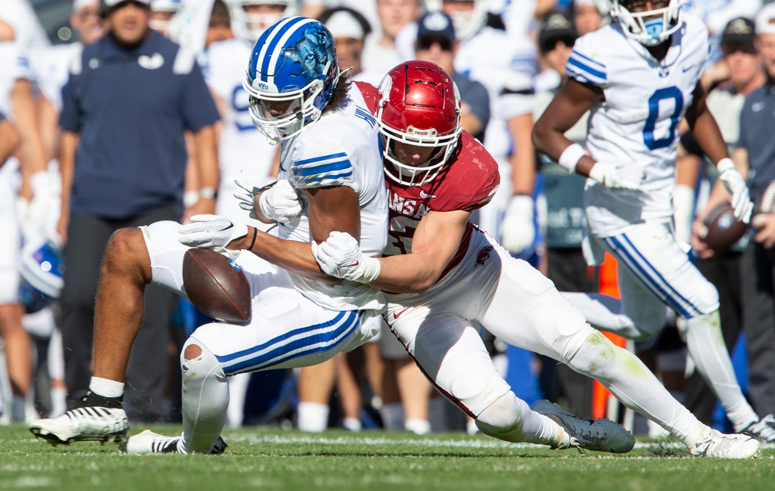 PROVO UT- OCTOBER 15:  Keanu Hill #1 of the Brigham Young Cougars loses control fo the ball while he is tackled by Drew Sanders #42 of the Arkansas Razorbacks during the first half of their game on October 15, 2022 at LaVell Edwards Stadium in Provo, Utah. (Photo by Chris Gardner/ Getty Images)
