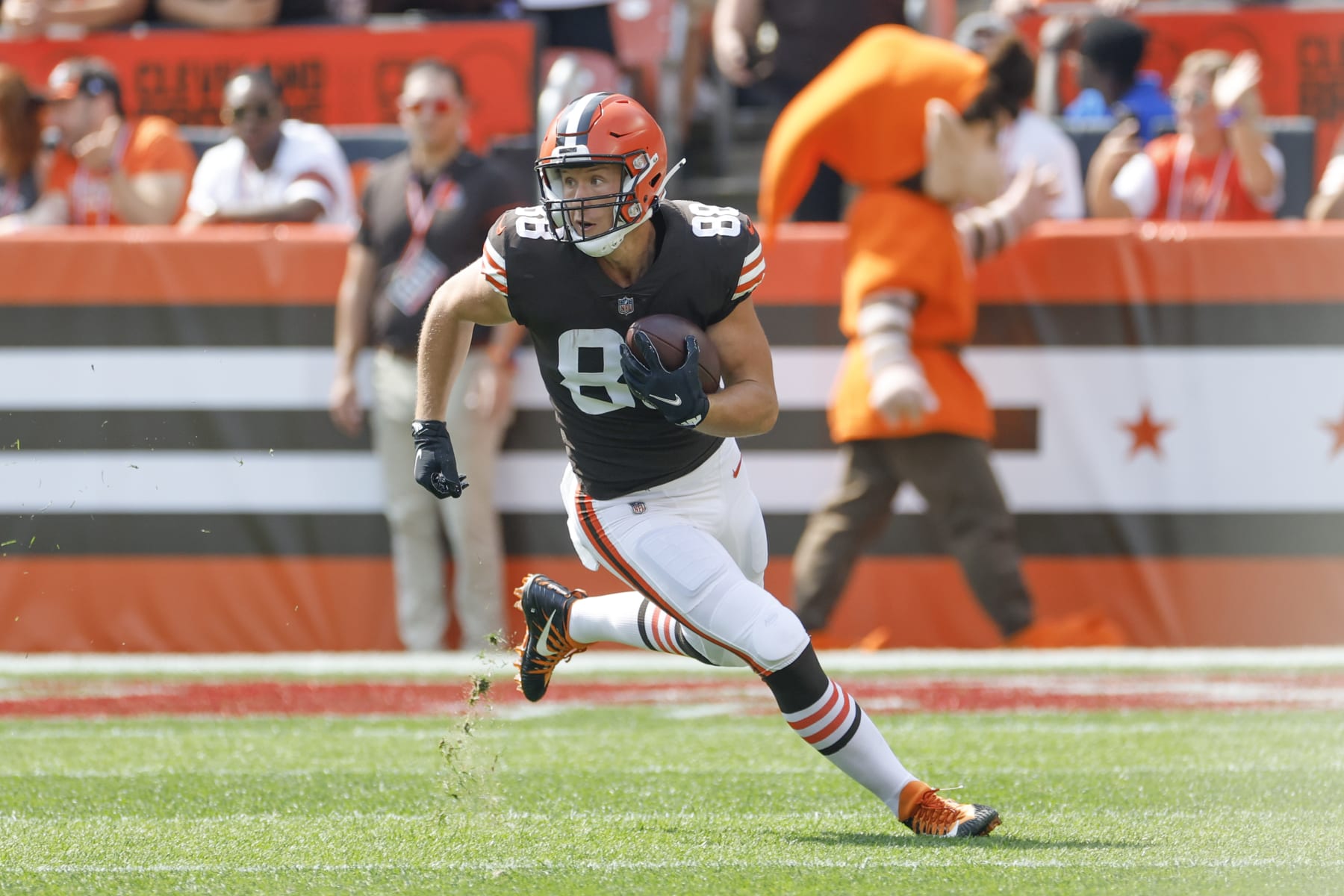 Cleveland Browns tight end Harrison Bryant (88) plays against the New York Jets during the first half of an NFL football game, Sunday, Sept. 18, 2022, in Cleveland. (AP Photo/Ron Schwane)