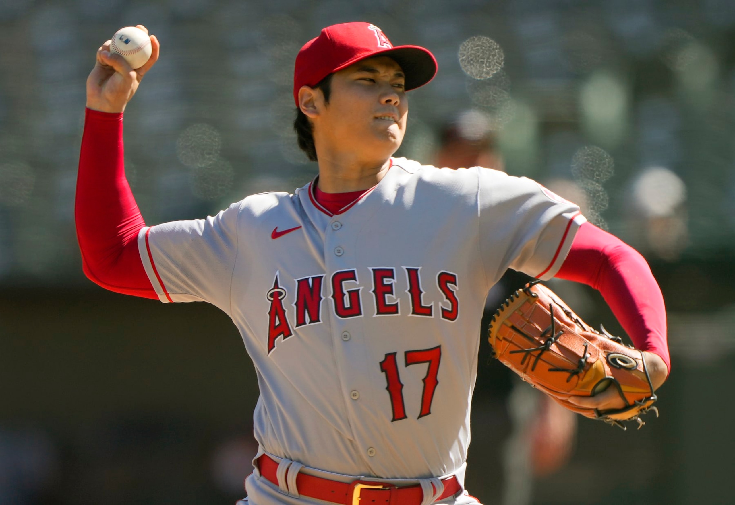 Shohei Ohtani Shohei Ohtani