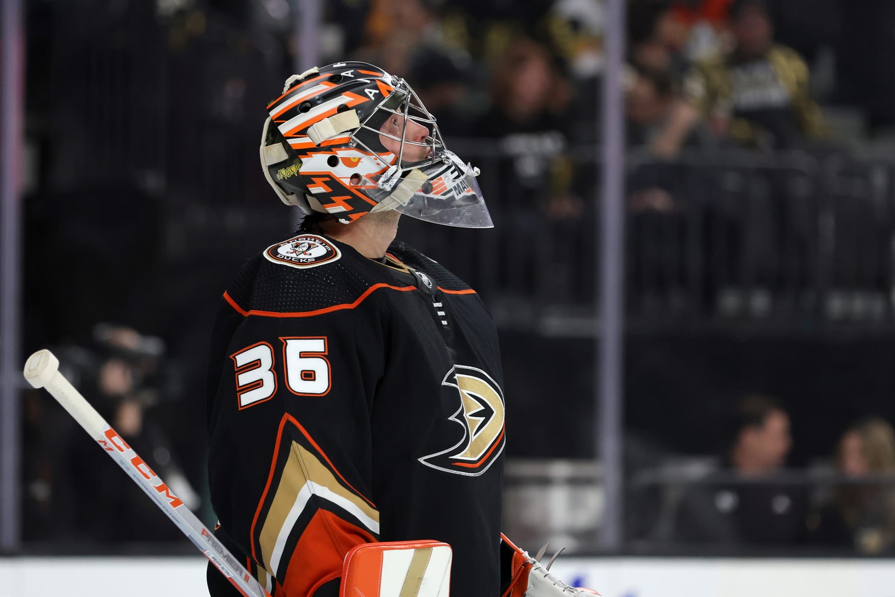 LAS VEGAS, NEVADA - OCTOBER 28: John Gibson #36 of the Anaheim Ducks takes a break during a stop in play in the second period of a game against the Vegas Golden Knights at T-Mobile Arena on October 28, 2022 in Las Vegas, Nevada. The Golden Knights defeated the Ducks 4-0. (Photo by Ethan Miller/Getty Images)