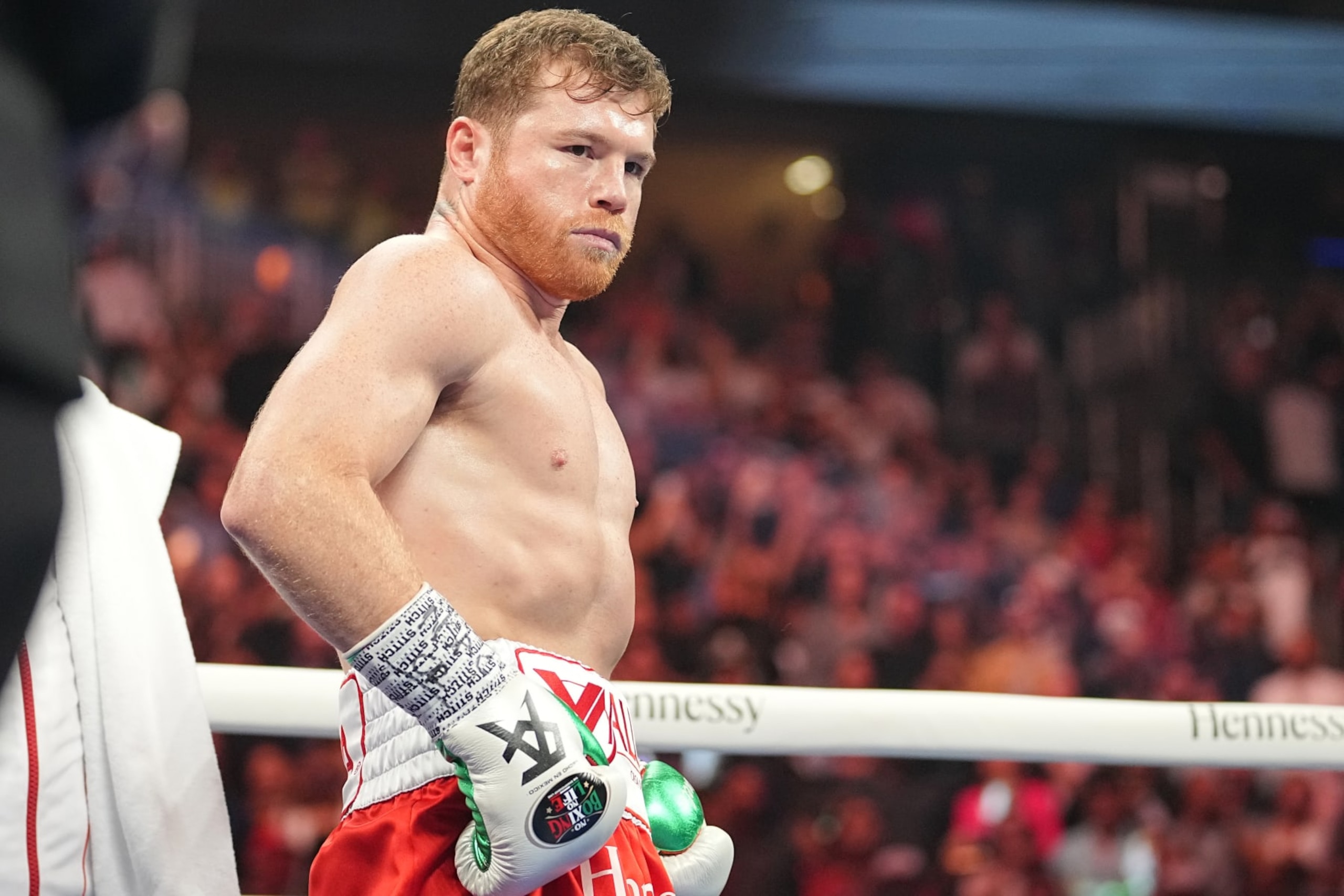 Paul can troll Canelo Alvarez from a distance knowing the fight is unlikely, because if it did happen he'd be in deep.