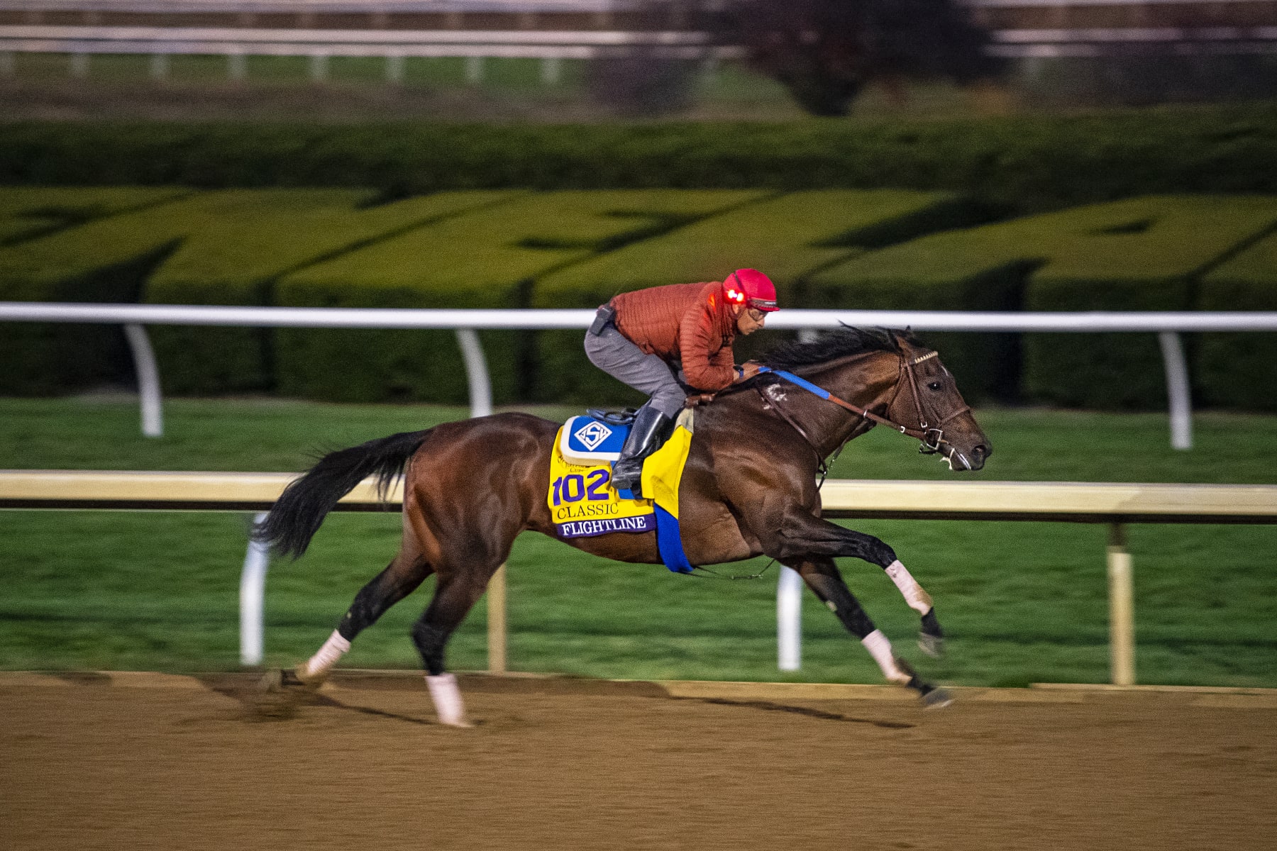 Flightline enters race weekend as the favorite in the Breeders' Cup Classic. 