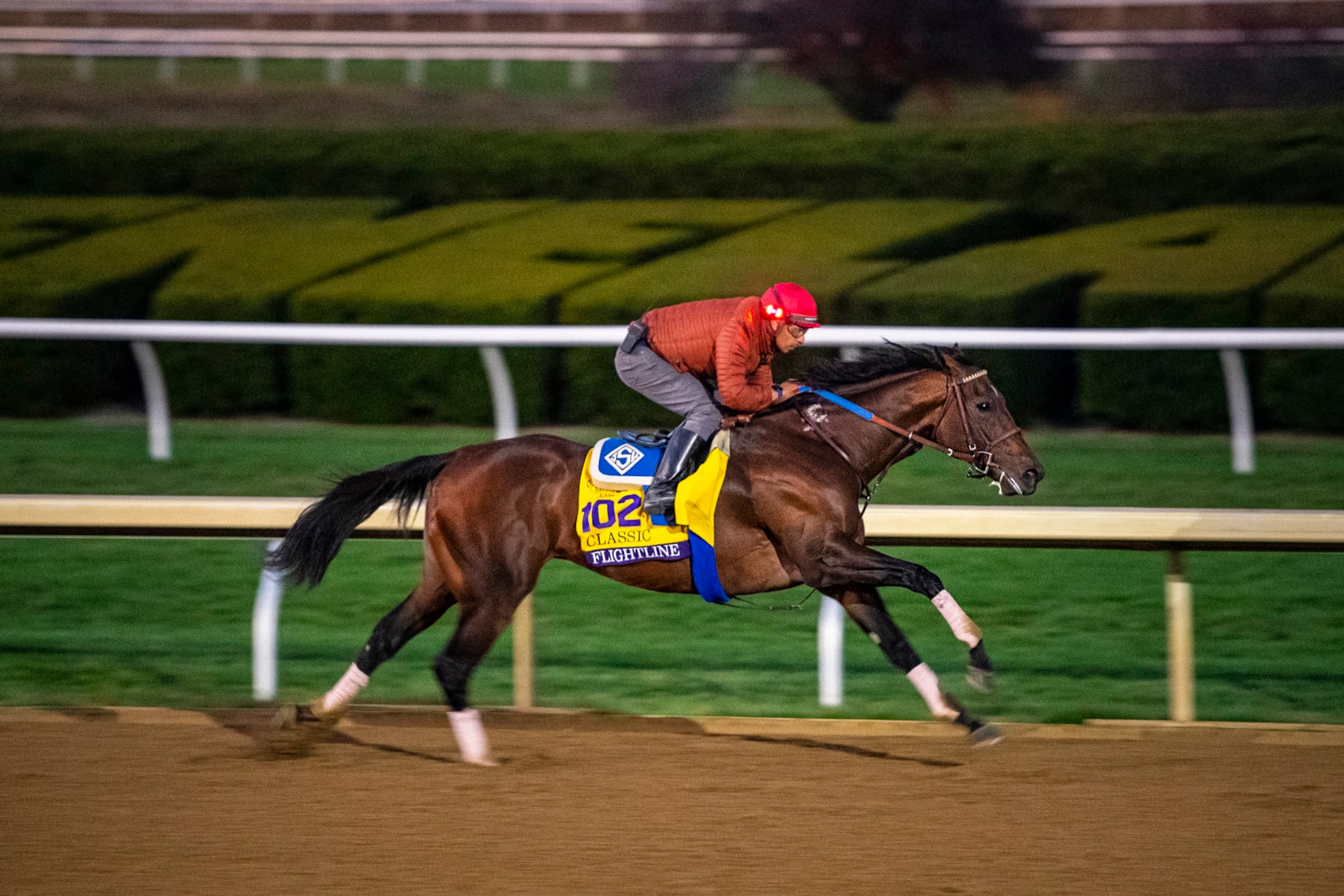 Flightline enters race weekend as the favorite in the Breeders' Cup Classic. 