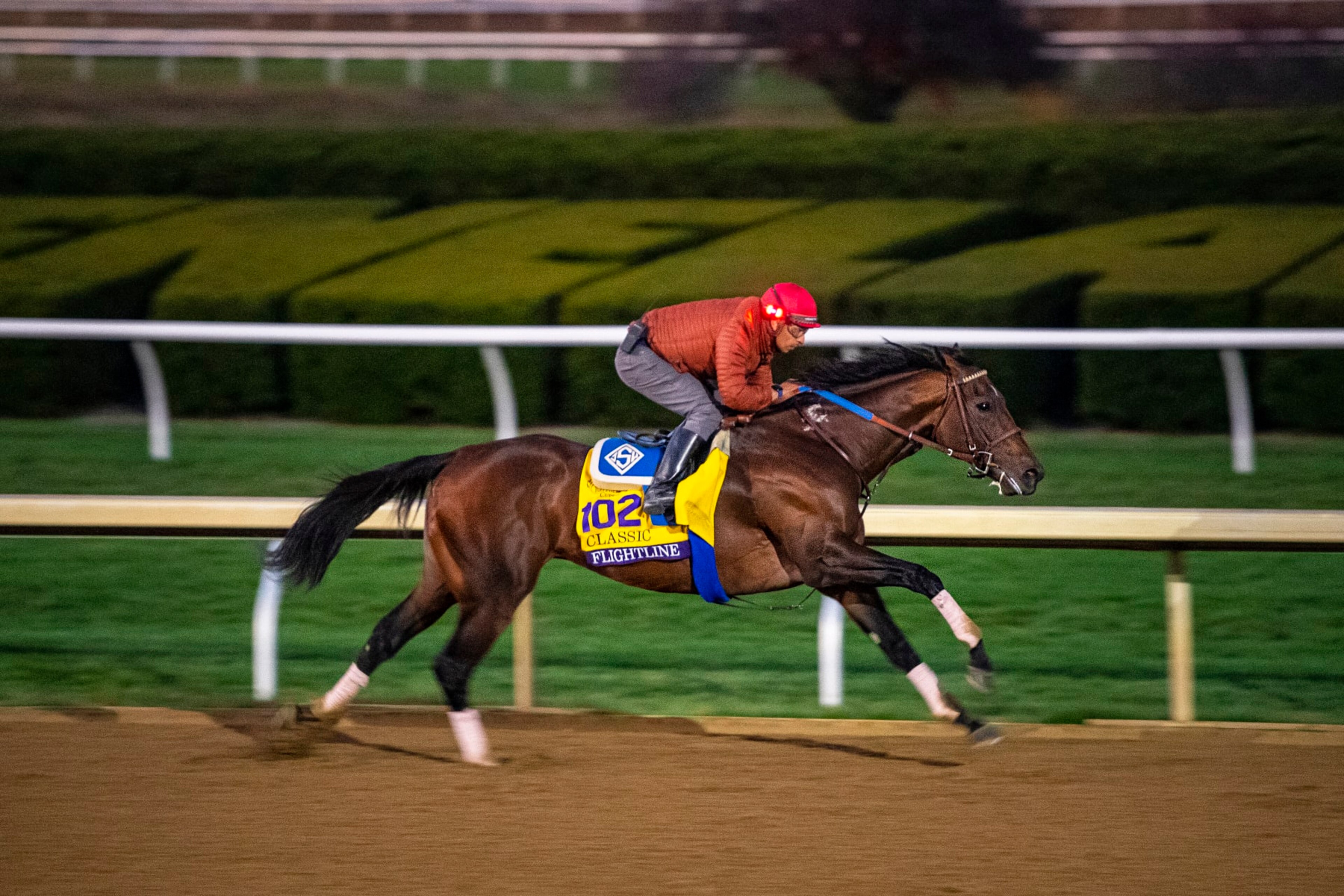 Flightline enters race weekend as the favorite in the Breeders' Cup Classic. 