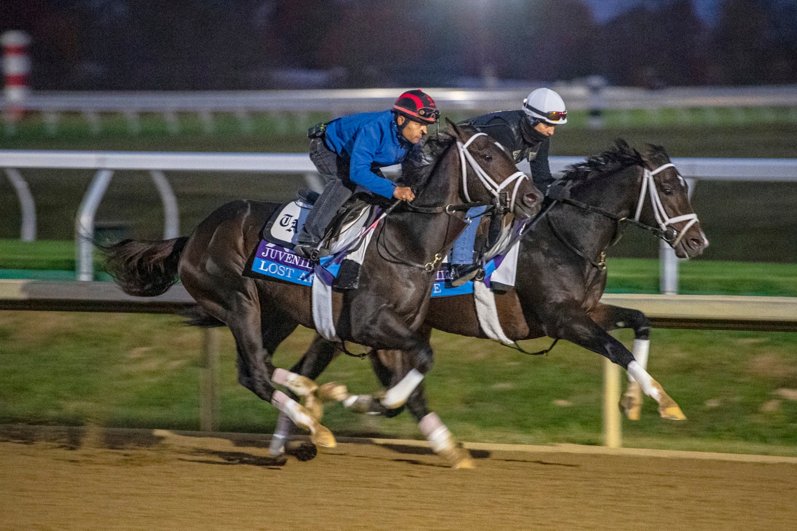 Forte (right) and Lost Ark (left) will challenge Cave Rock for two-year-old supremacy in the Juvenile. 