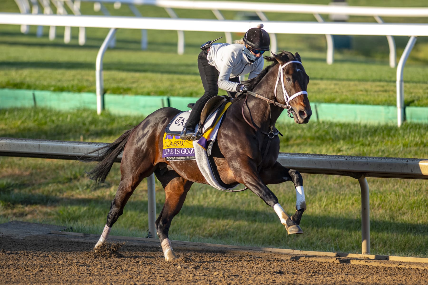 Life is Good will look to pull off an upset in the Breeders' Cup Classic. 