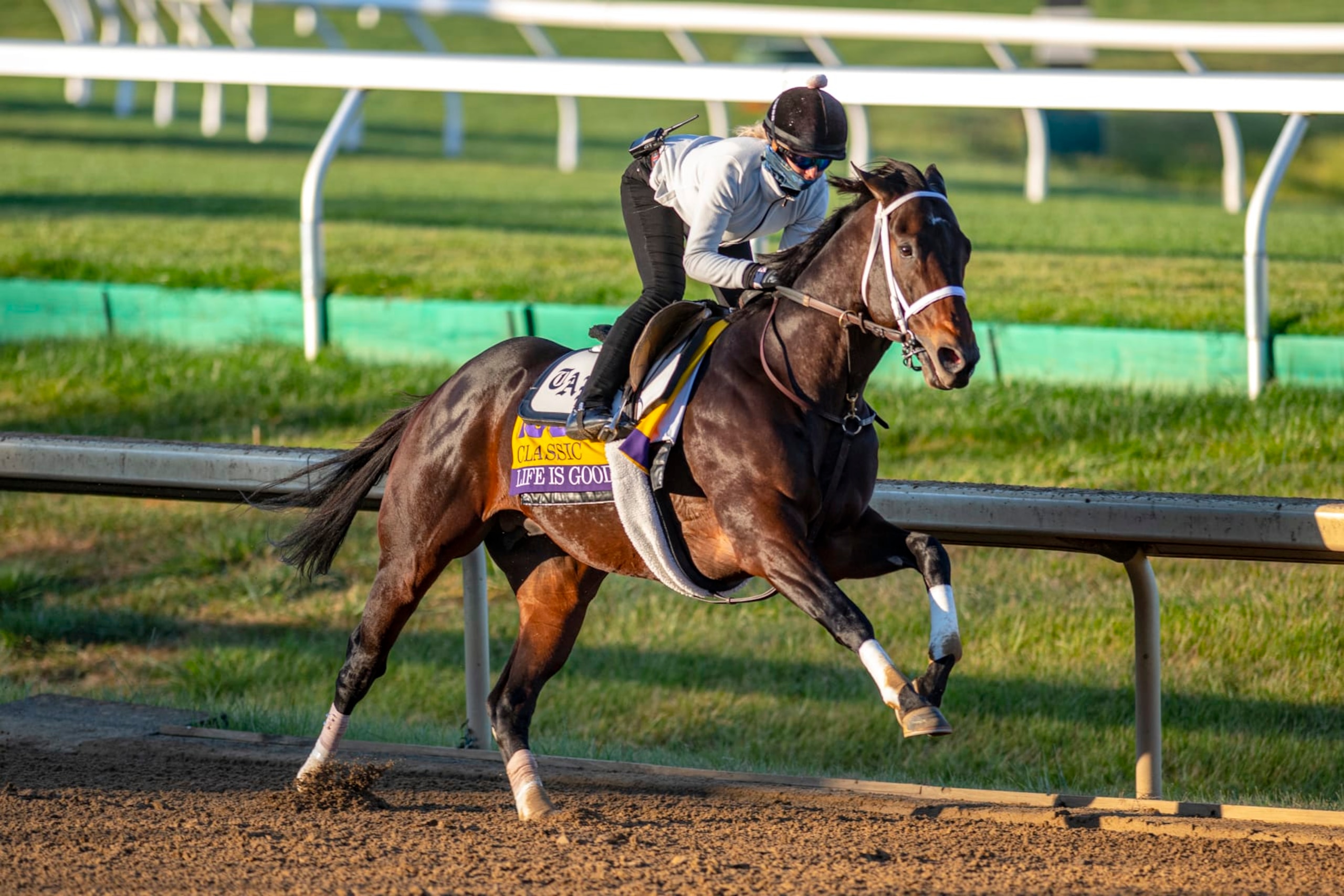 Life is Good will look to pull off an upset in the Breeders' Cup Classic. 
