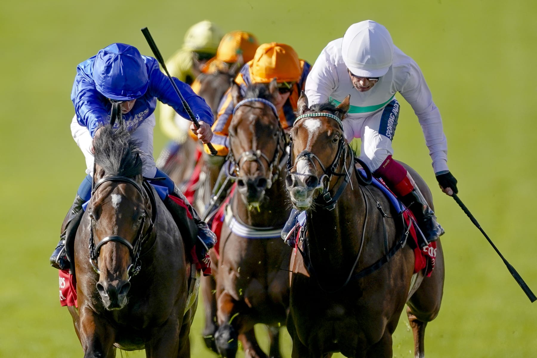 Silver Knott (middle) is one of the top horses on turf Friday. 