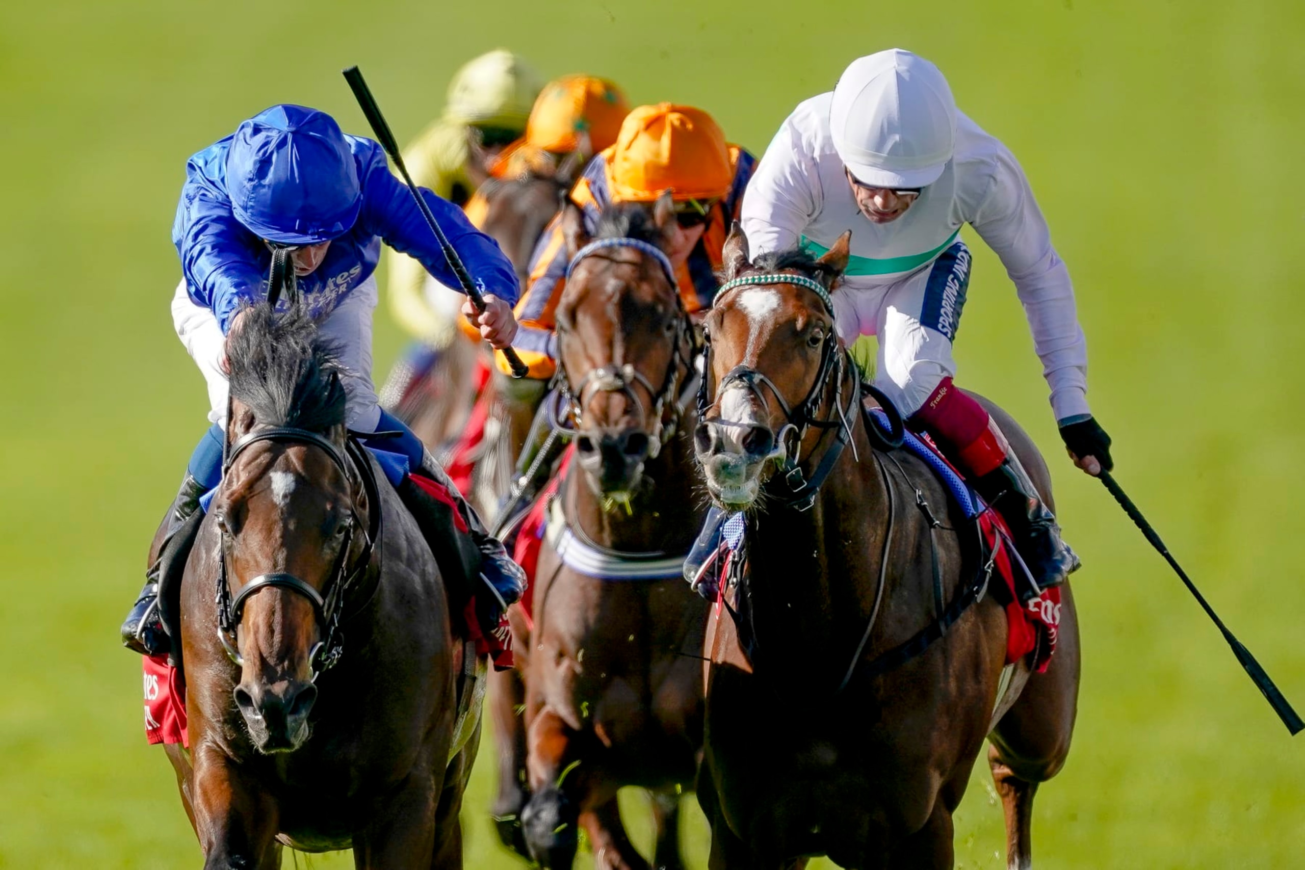 Silver Knott (middle) is one of the top horses on turf Friday. Silver Knott (middle) is one of the top horses on turf Friday.