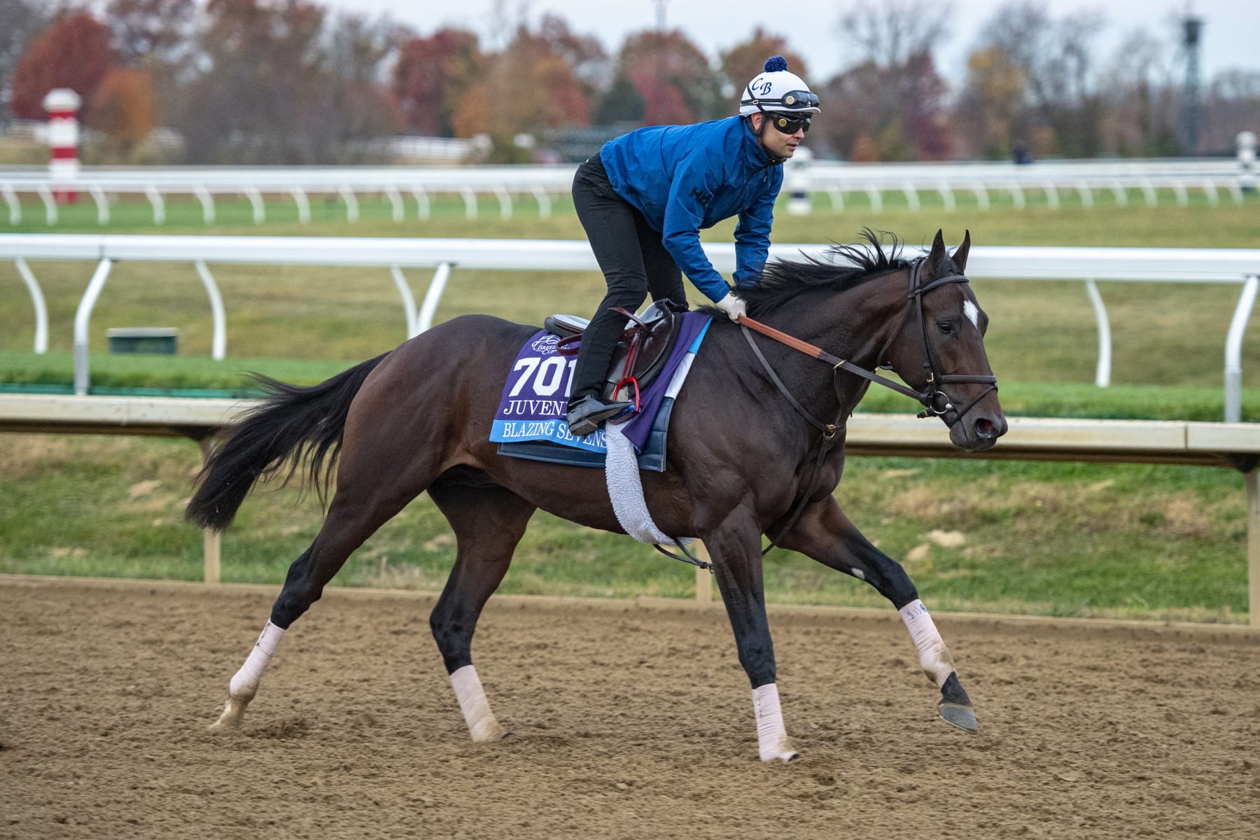 Blazing Sevens is one of the top juveniles being showcased on Friday at the Breeders' Cup. 