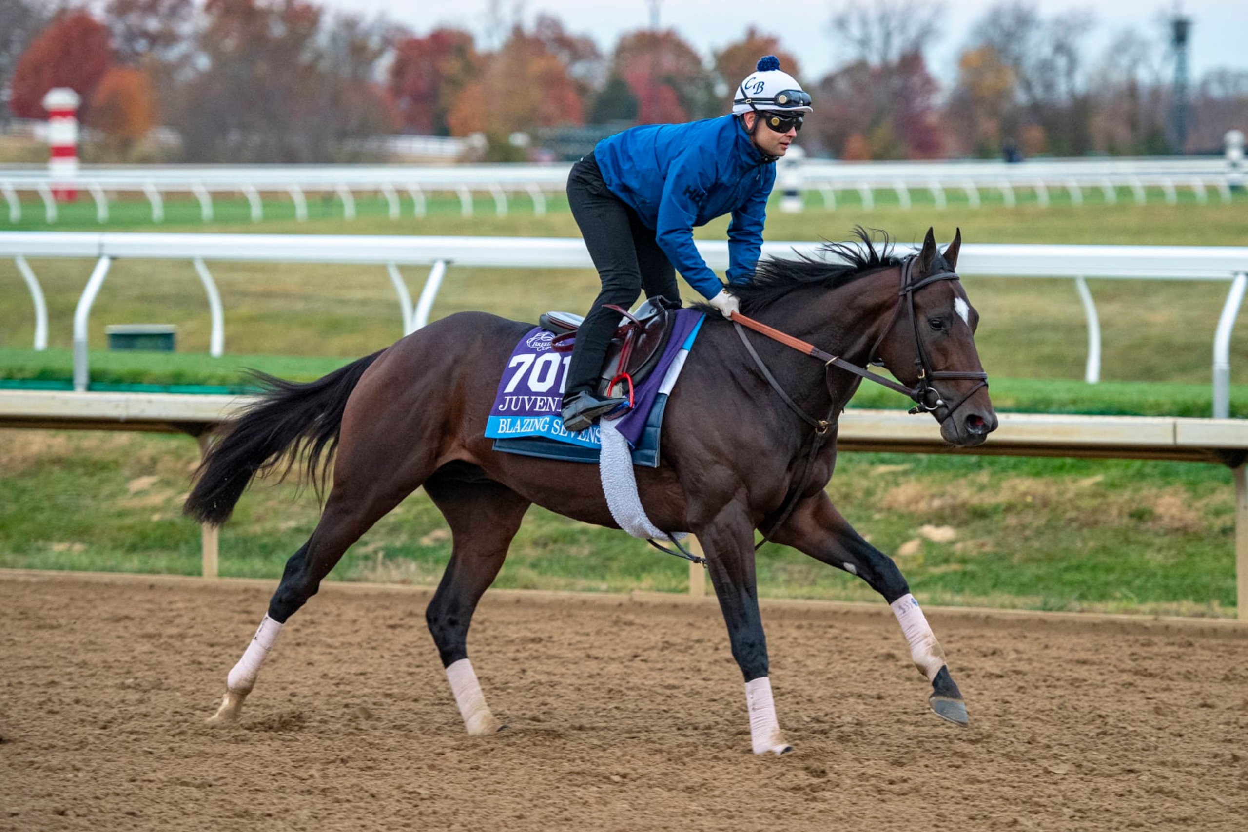 Blazing Sevens is one of the top juveniles being showcased on Friday at the Breeders' Cup. Blazing Sevens is one of the top juveniles being showcased on Friday at the Breeders' Cup.