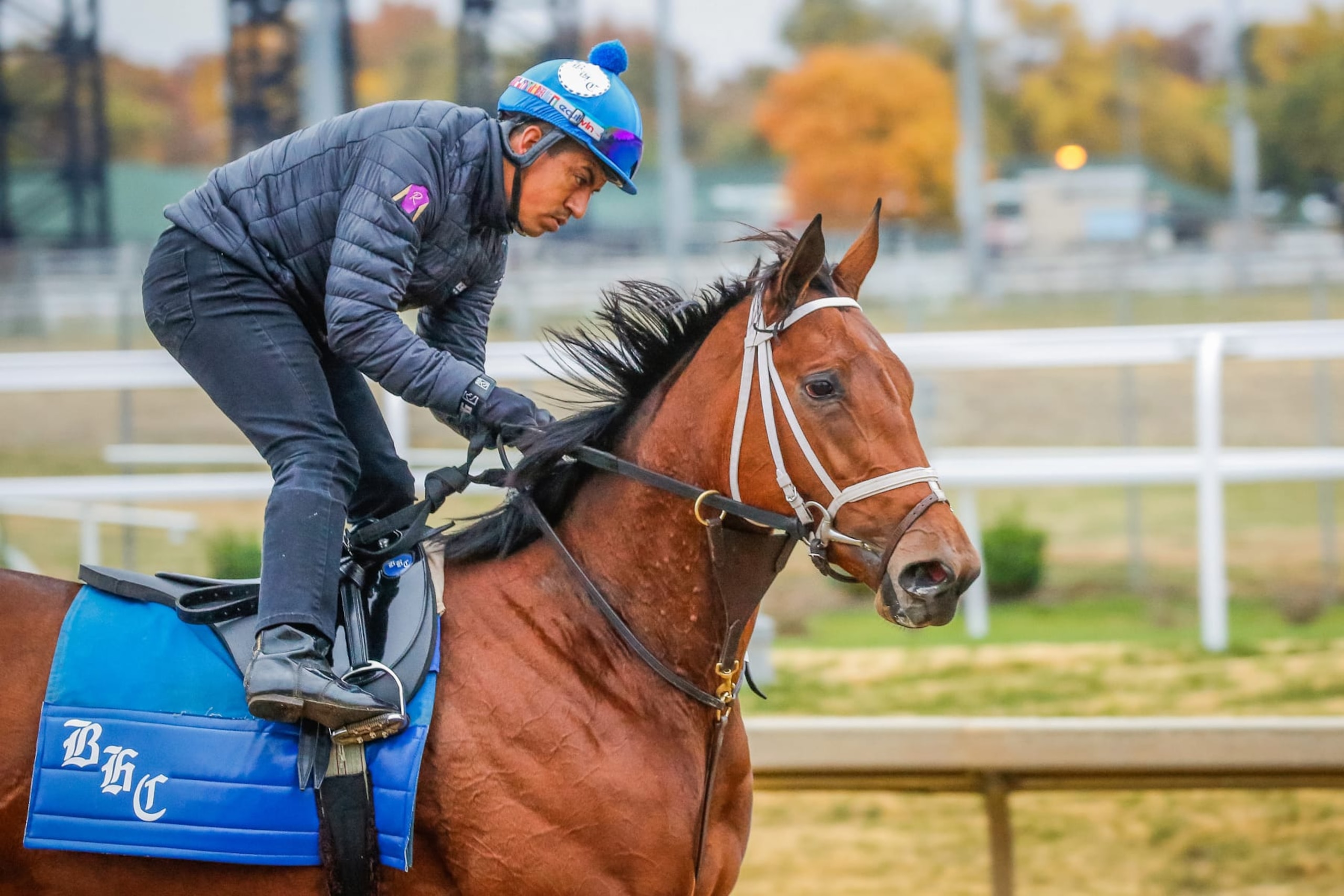 Chop Chop will look to outrun the field in the Breeders' Cup Juvenile Filly race. Chop Chop will look to outrun the field in the Breeders' Cup Juvenile Filly race.