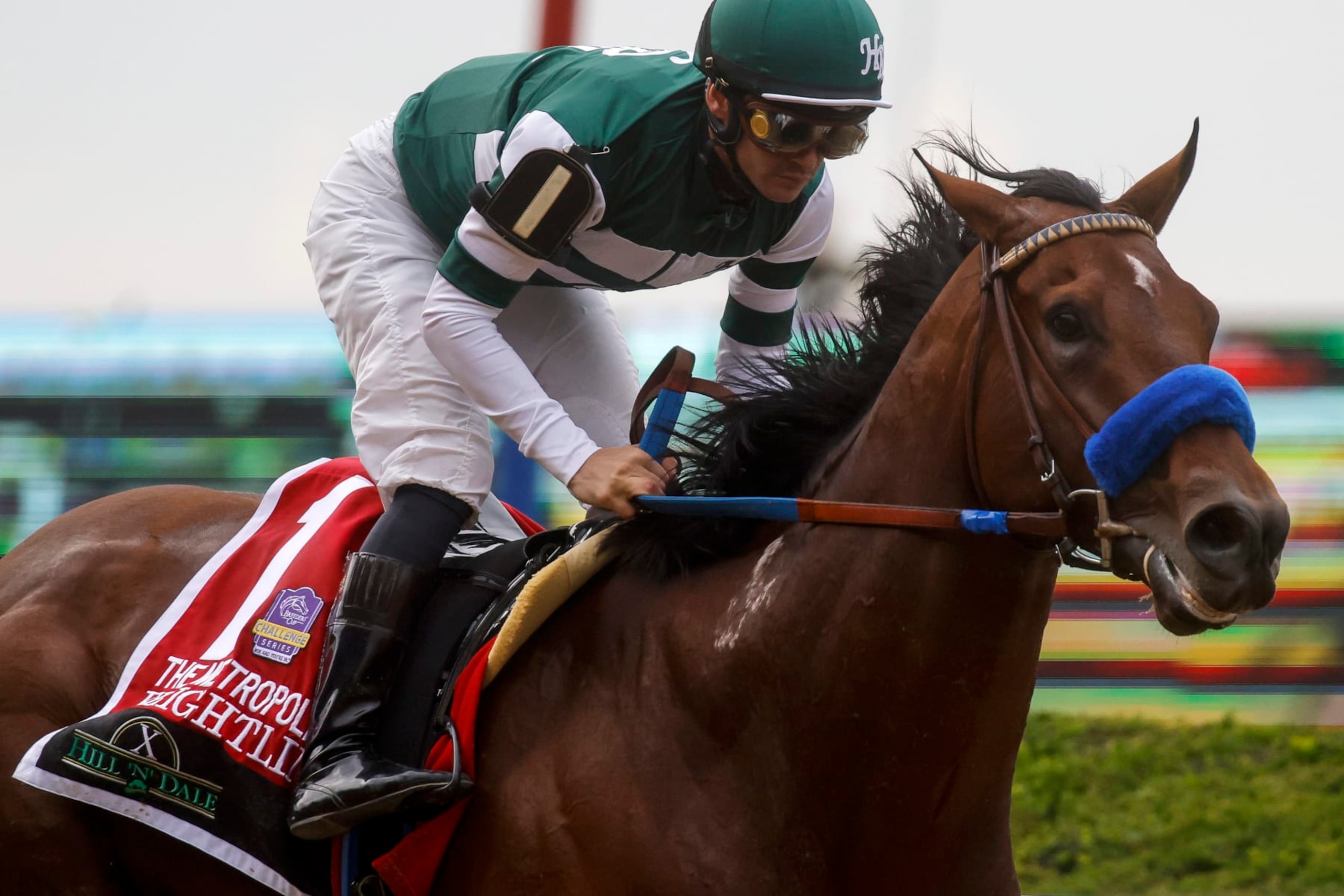 Flightline is a big favorite in the 2022 Breeders' Cup Classic