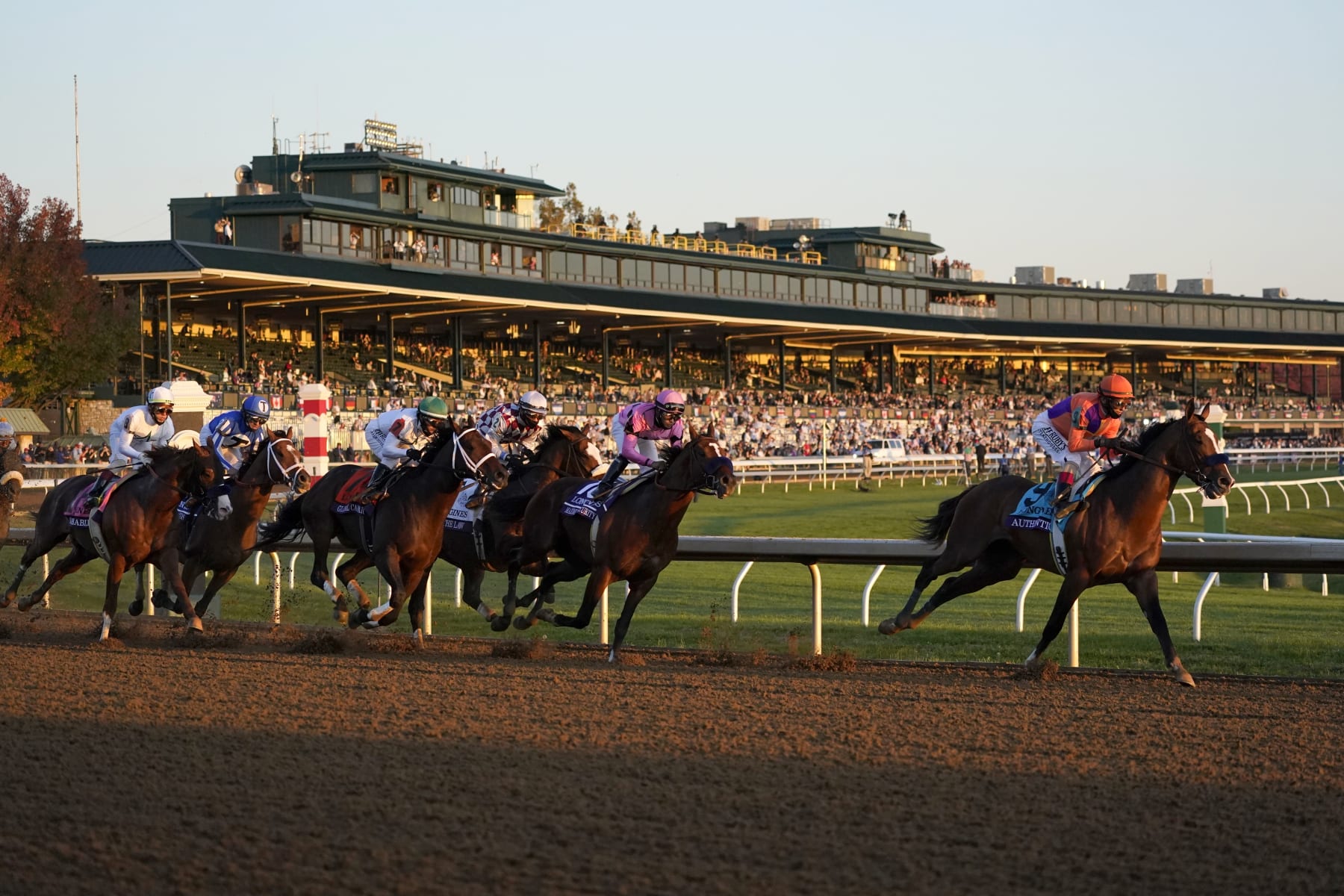 Authentic came away with the Breeders' Cup Classic win last year. 