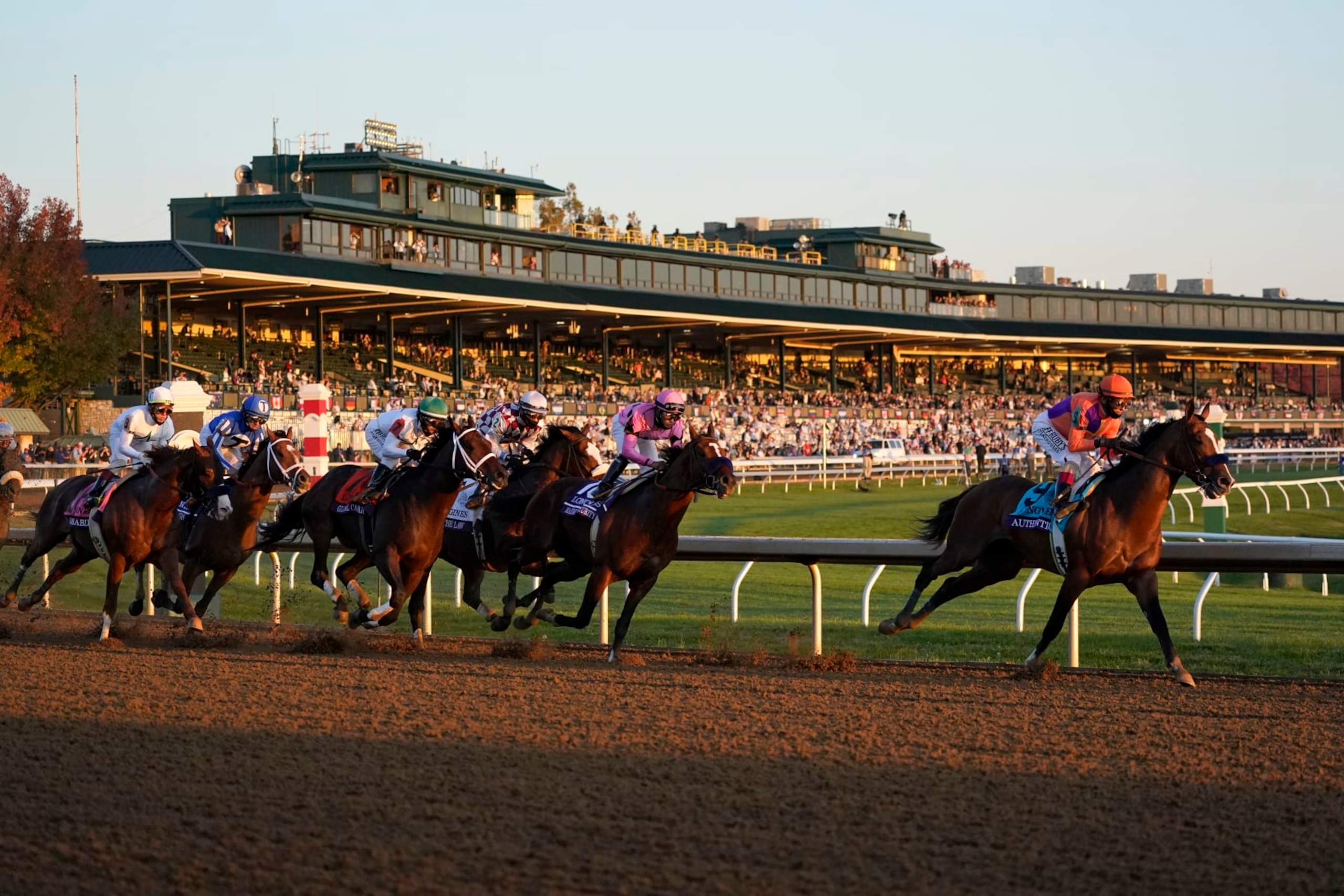 Authentic came away with the Breeders' Cup Classic win last year. 