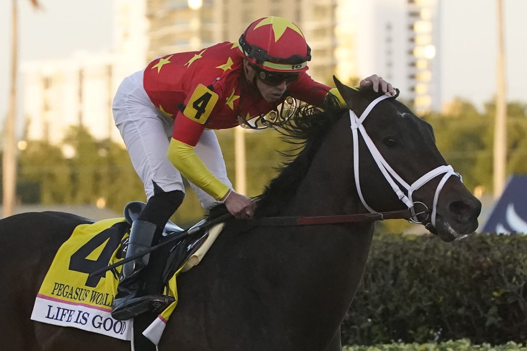 Life is Good will not be the favorite for the first time in his career. 