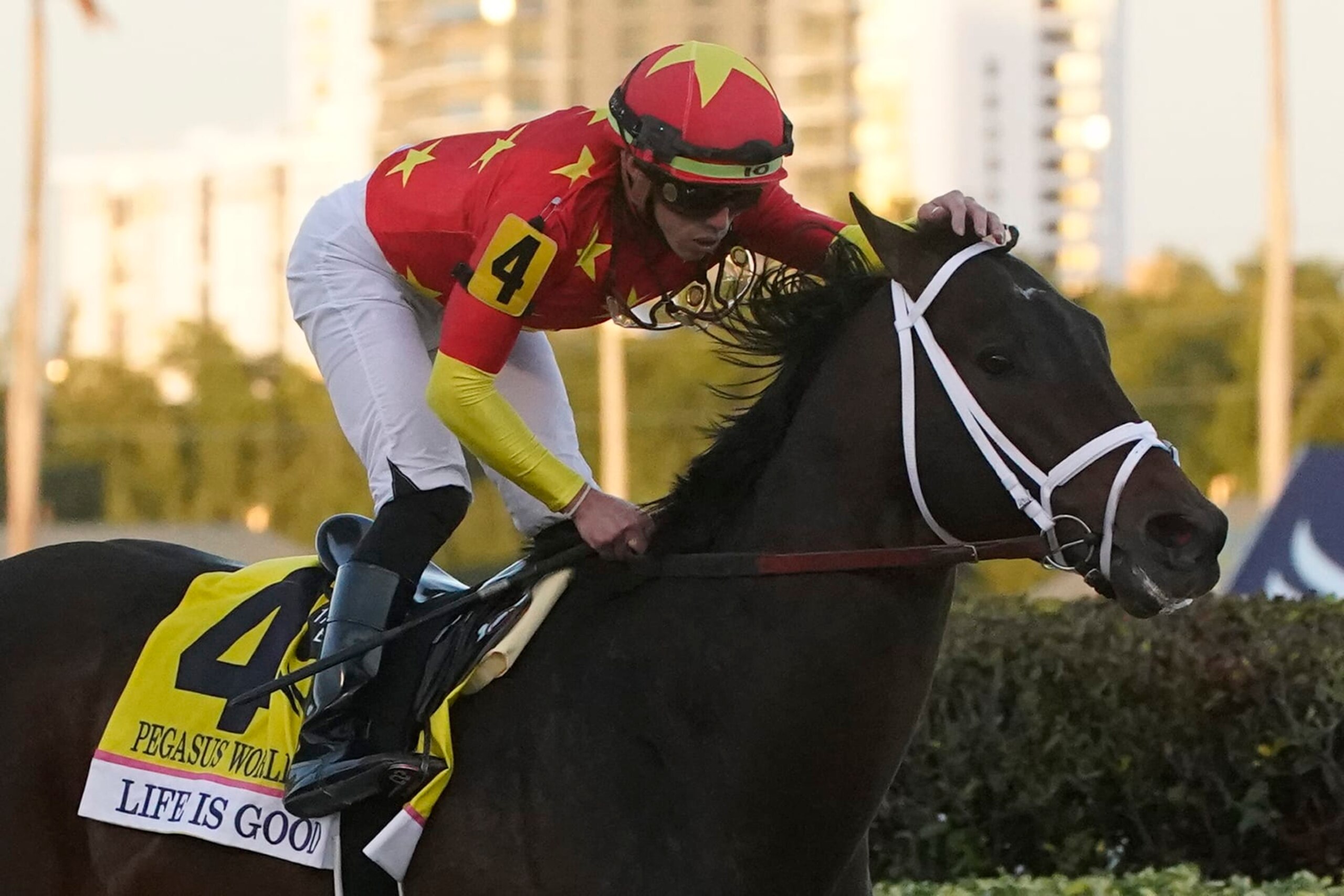 Life is Good will not be the favorite for the first time in his career. 