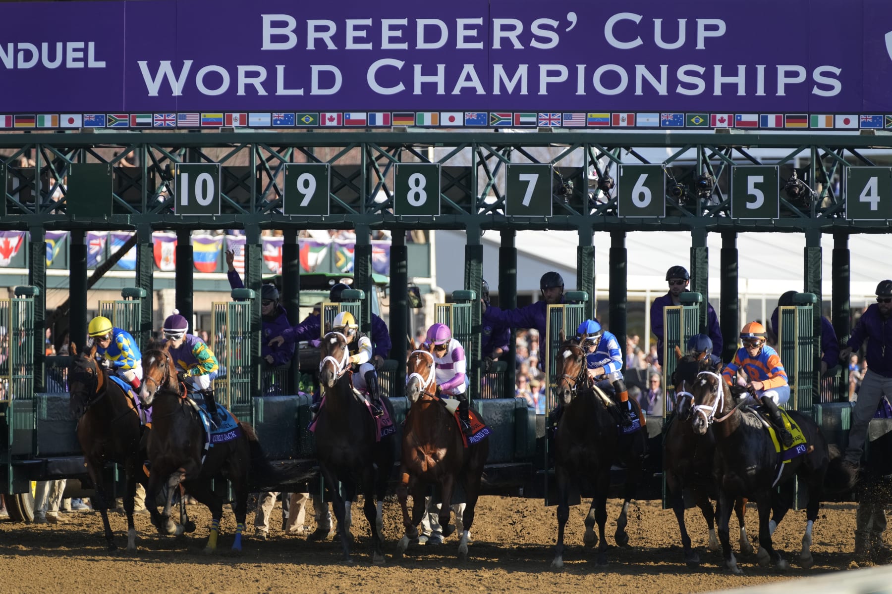 Breeders' Cup 2022 Results Tracking Winners and Prize Money Payouts on(01)