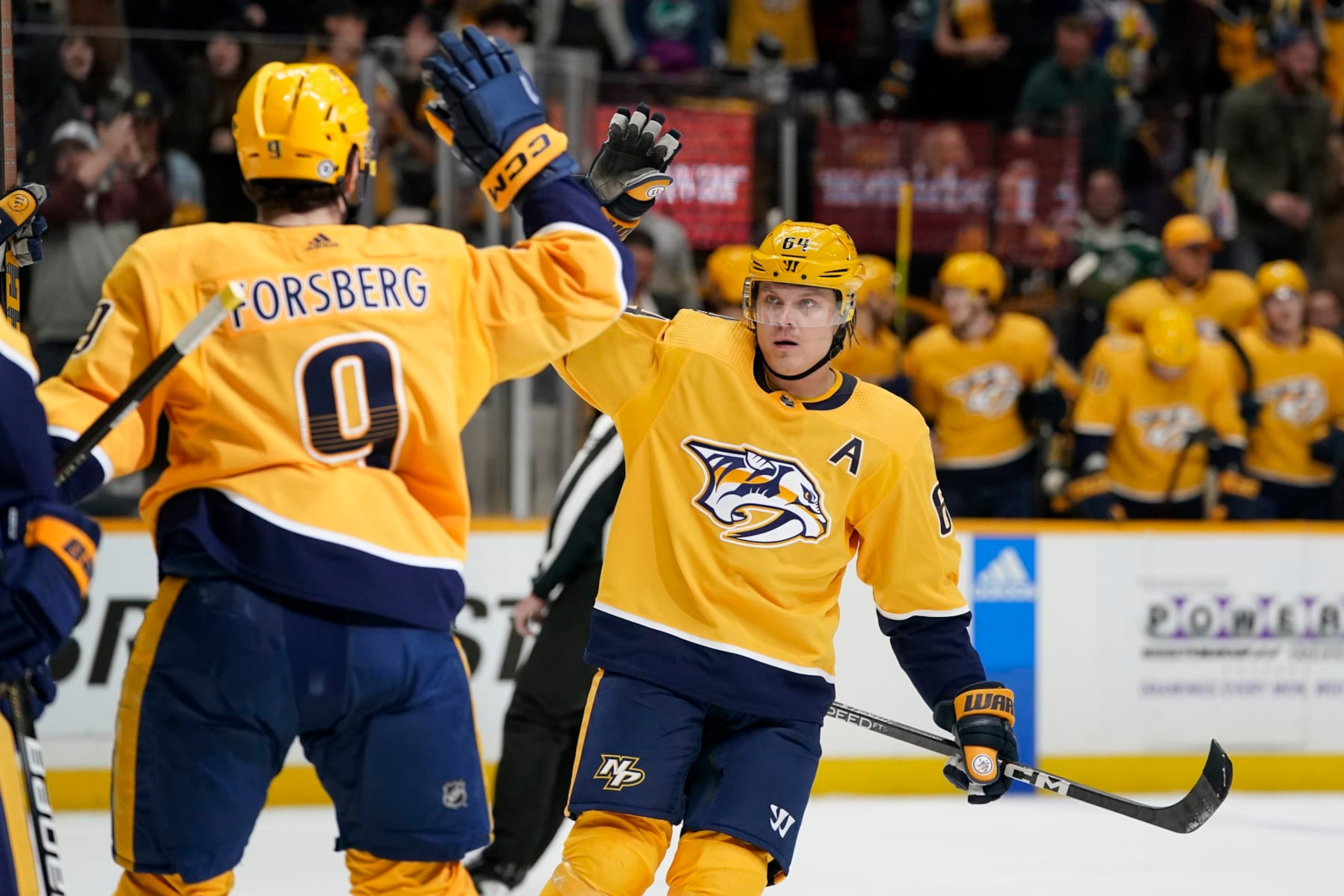 Nashville Predators Nashville Predators