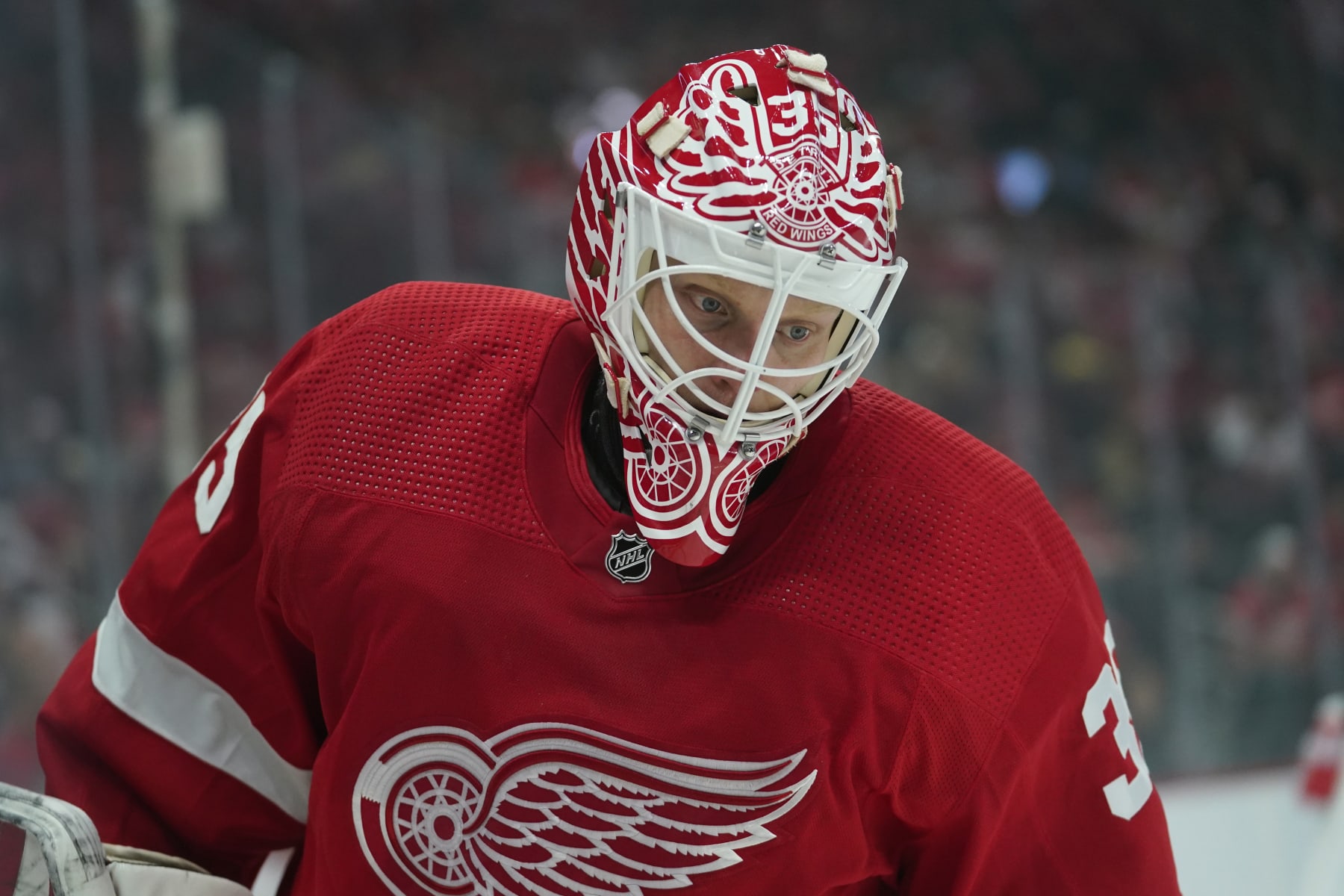 Ville Husso has been locked in for Detroit