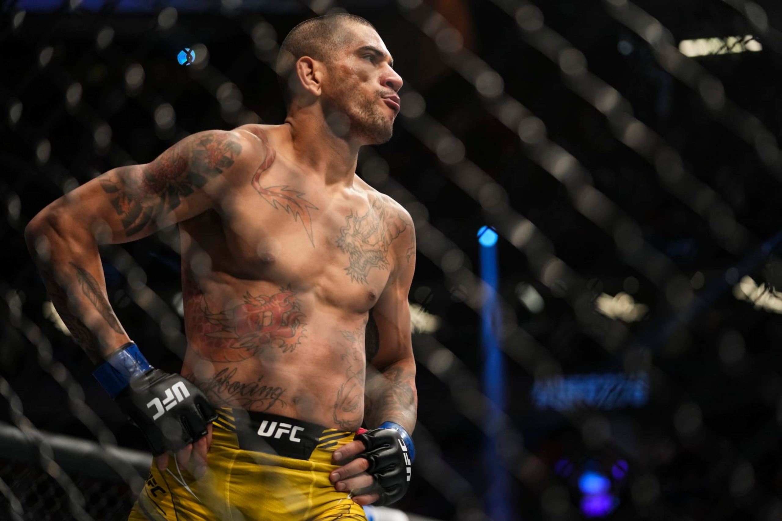 Alex Pereira jumped to the front of the title-challenger pack with an impressive finish of Sean Strickland at UFC 276 in July.