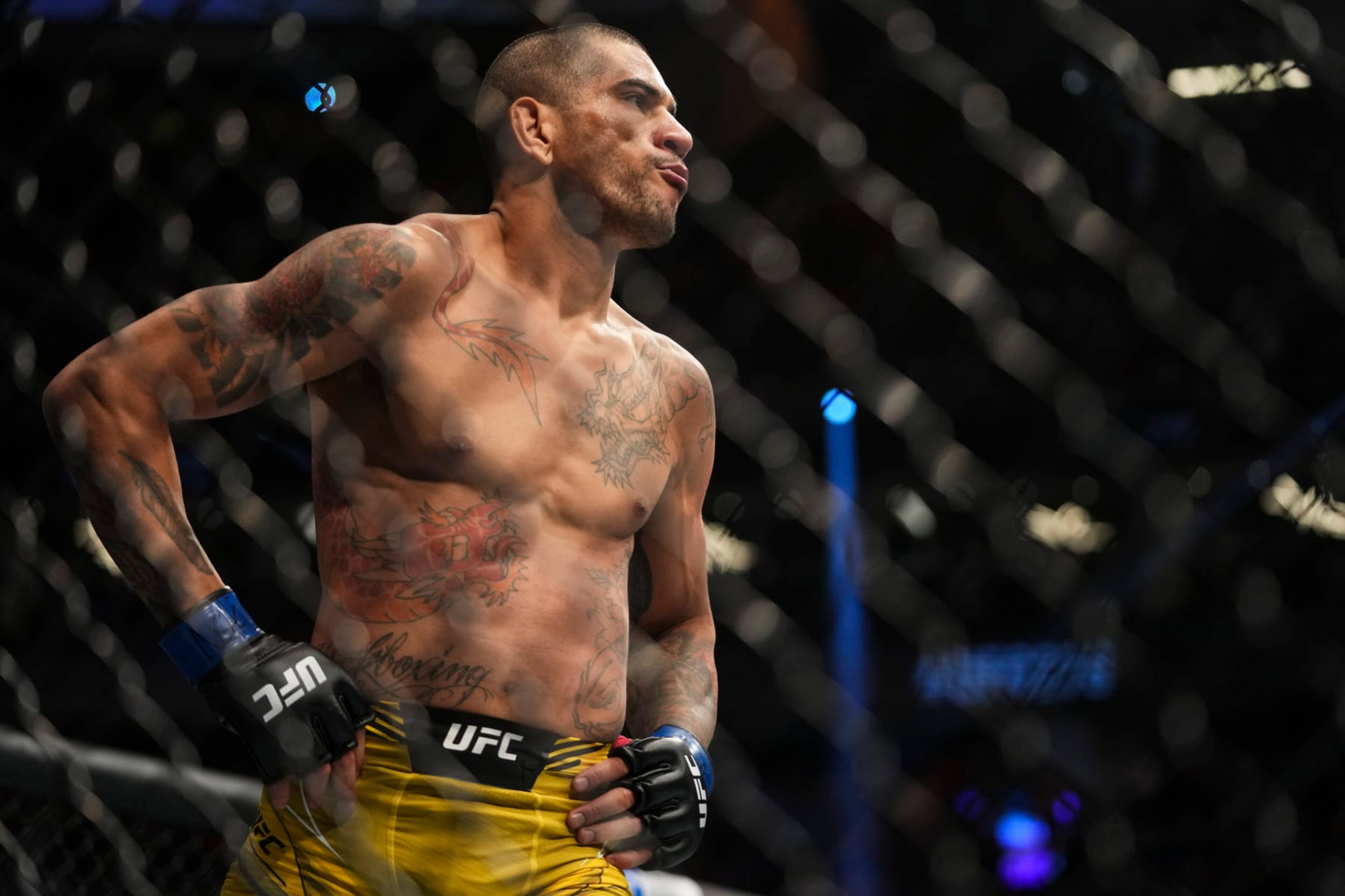 Alex Pereira jumped to the front of the title-challenger pack with an impressive finish of Sean Strickland at UFC 276 in July. Alex Pereira jumped to the front of the title-challenger pack with an impressive finish of Sean Strickland at UFC 276 in July.