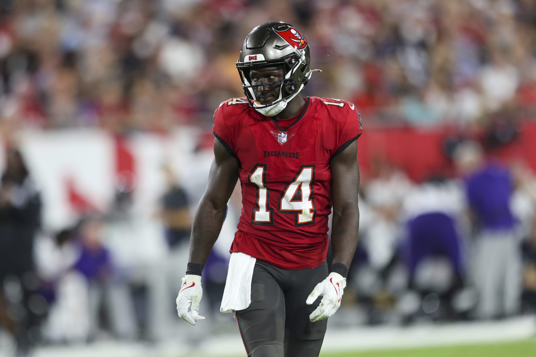 Tampa Bay Buccaneers wide receiver Chris Godwin (14) watches the defense during a NFL football game against the Baltimore Ravens,Thursday, Oct. 27, 2022 in Tampa, Fla. (AP Photo/Alex Menendez)