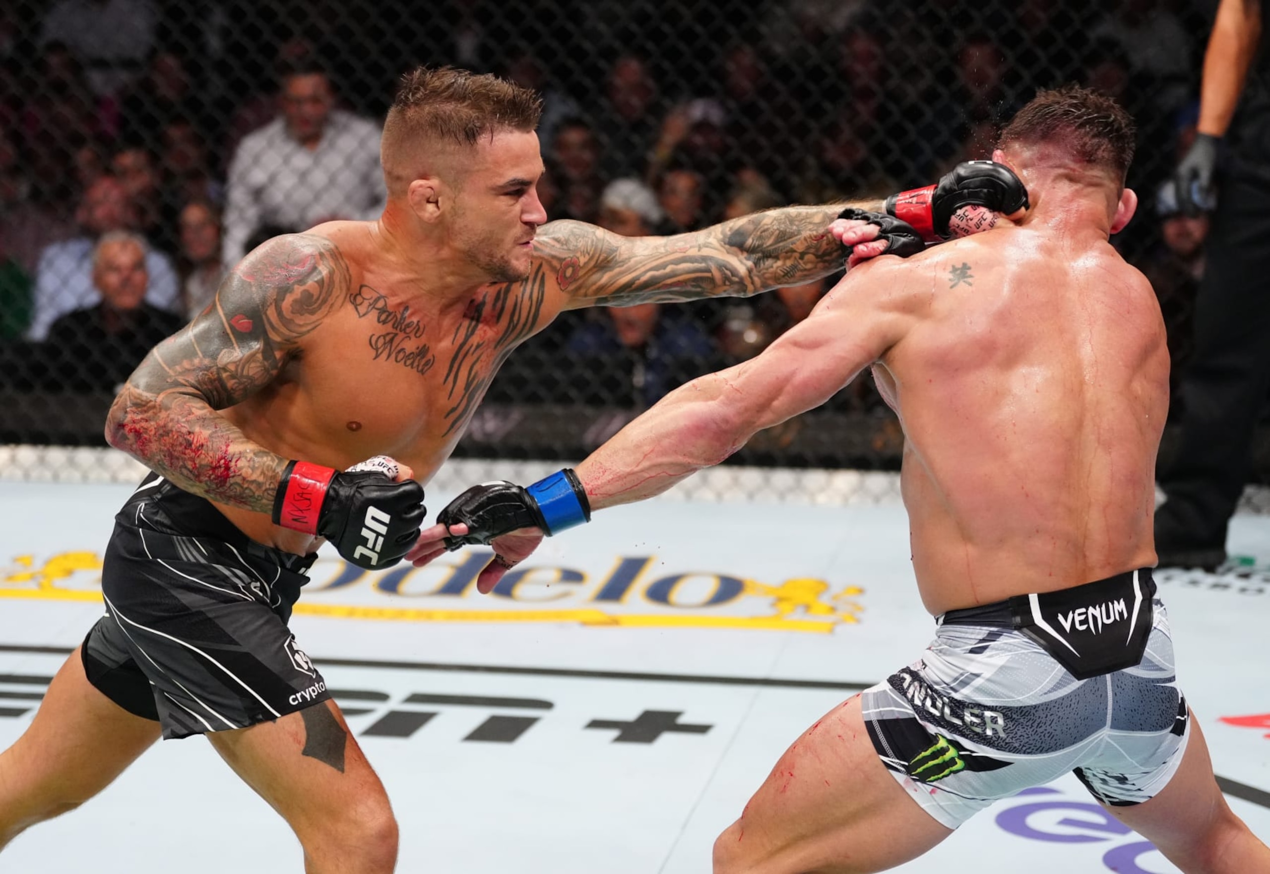 NEW YORK, NEW YORK - NOVEMBER 12: (L-R) Dustin Poirier punches Michael Chandler in a lightweight bout during the UFC 281 event at Madison Square Garden on November 12, 2022 in New York City. (Photo by Jeff Bottari/Zuffa LLC) NEW YORK, NEW YORK - NOVEMBER 12: (L-R) Dustin Poirier punches Michael Chandler in a lightweight bout during the UFC 281 event at Madison Square Garden on November 12, 2022 in New York City. (Photo by Jeff Bottari/Zuffa LLC)