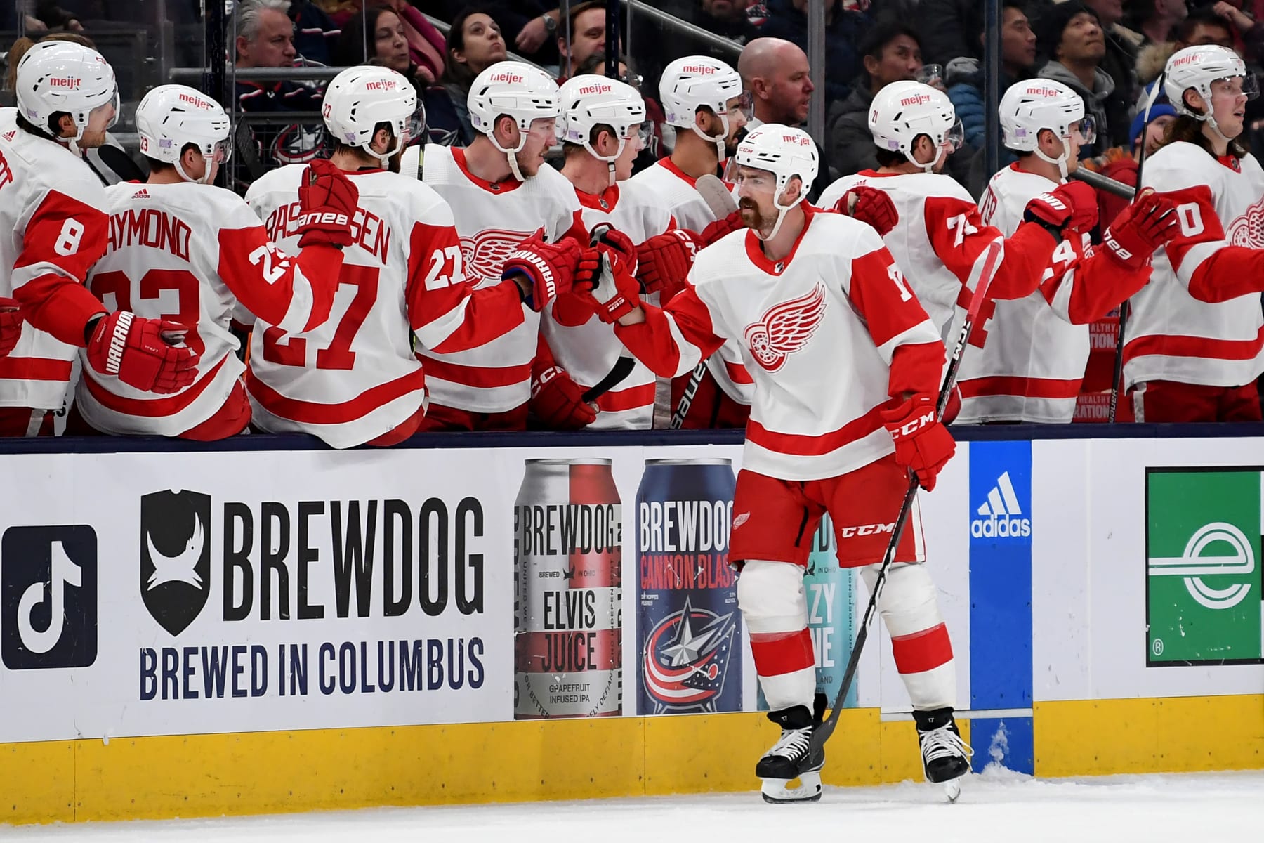 COLUMBUS, OHIO - NOVEMBER 19: Filip Hronek #17 of the Detroit Red Wings celebrates his goal against the Columbus Blue Jackets during the second period at Nationwide Arena on November 19, 2022 in Columbus, Ohio. (Photo by Emilee Chinn/Getty Images)