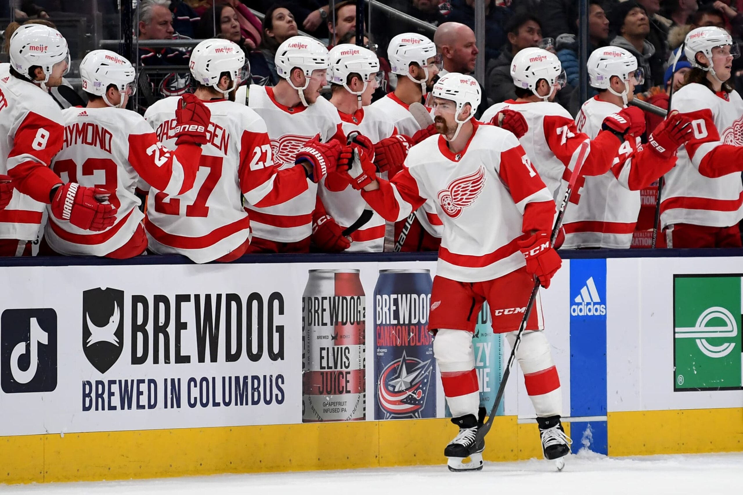 COLUMBUS, OHIO - NOVEMBER 19: Filip Hronek #17 of the Detroit Red Wings celebrates his goal against the Columbus Blue Jackets during the second period at Nationwide Arena on November 19, 2022 in Columbus, Ohio. (Photo by Emilee Chinn/Getty Images)
