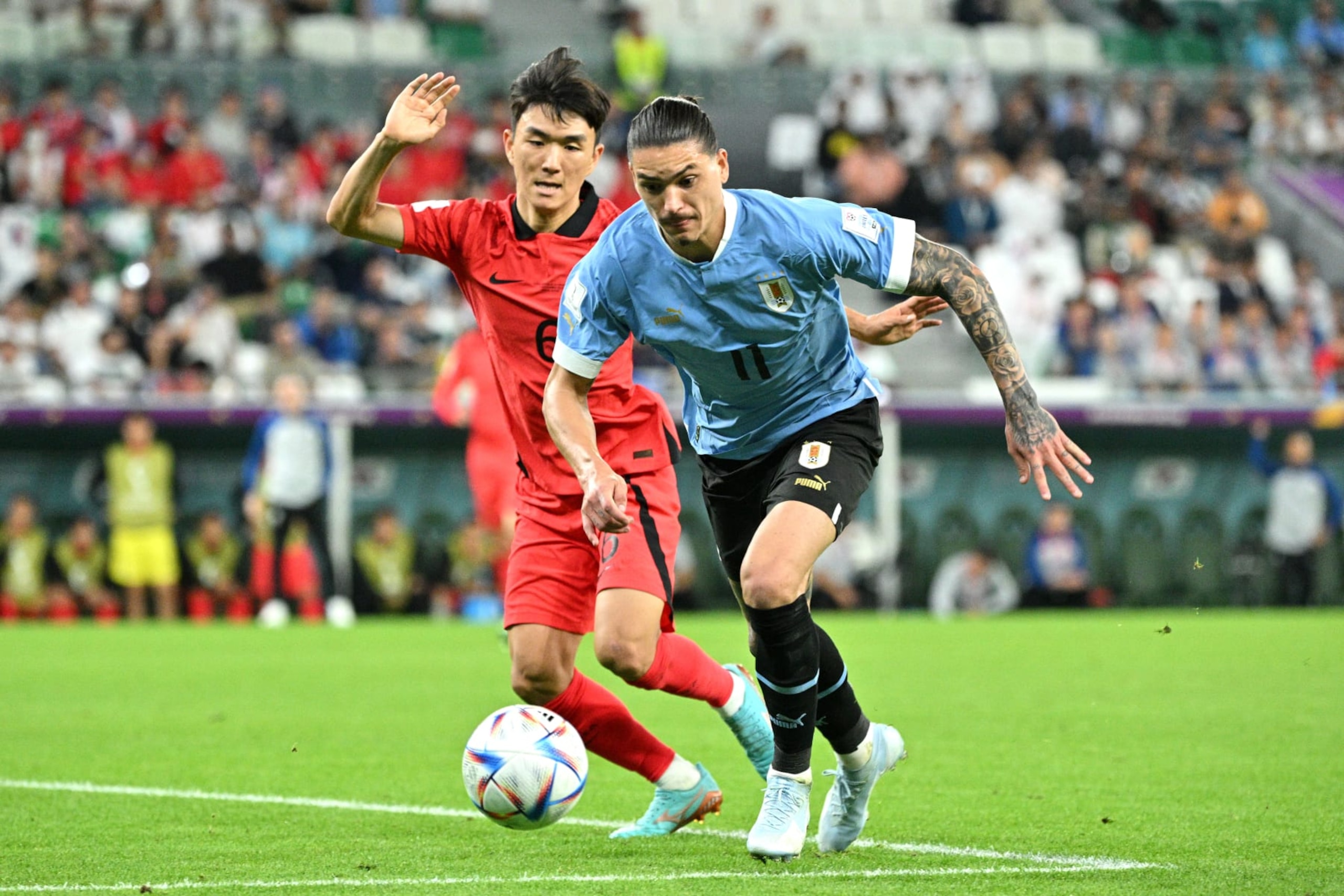AL RAYYAN, QATAR - NOVEMBER 24: Darwin Nunez of Uruguay and Hwang In-beom of South Korea in action during the FIFA World Cup Qatar 2022 Group H match between Uruguay and Korea Republic at Education City Stadium on November 24, 2022 in Al Rayyan, Qatar. (Photo by Lionel Hahn/Getty Images) AL RAYYAN, QATAR - NOVEMBER 24: Darwin Nunez of Uruguay and Hwang In-beom of South Korea in action during the FIFA World Cup Qatar 2022 Group H match between Uruguay and Korea Republic at Education City Stadium on November 24, 2022 in Al Rayyan, Qatar. (Photo by Lionel Hahn/Getty Images)