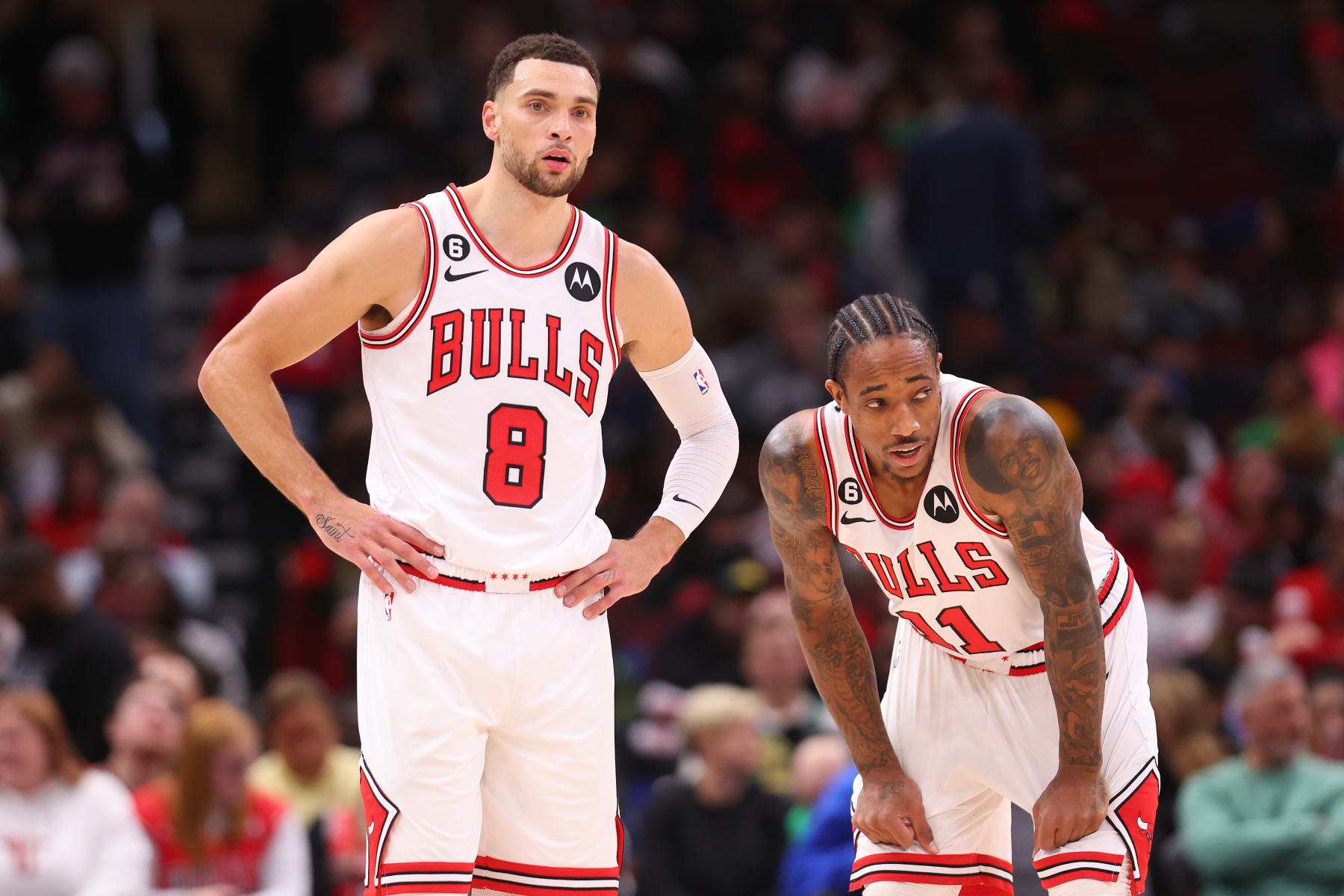 CHICAGO, ILLINOIS - NOVEMBER 21: Zach LaVine #8 and DeMar DeRozan #11 of the Chicago Bulls look on against the Boston Celtics during the second half at United Center on November 21, 2022 in Chicago, Illinois. NOTE TO USER: User expressly acknowledges and agrees that, by downloading and or using this photograph, User is consenting to the terms and conditions of the Getty Images License Agreement.  (Photo by Michael Reaves/Getty Images)