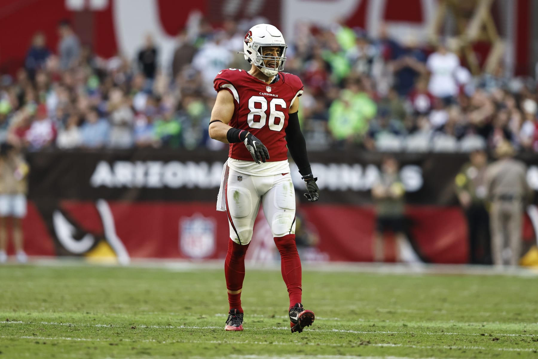 GLENDALE, ARIZONA - NOVEMBER 06: Zach Ertz #86 of the Arizona Cardinals lines up during an NFL Football game between the Arizona Cardinals and the Seattle Seahawks at State Farm Stadium on November 06, 2022 in Glendale, Arizona. (Photo by Michael Owens/Getty Images)