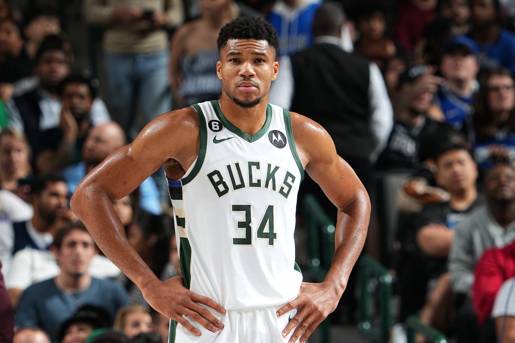 DALLAS, TX - DECEMBER 9: Giannis Antetokounmpo #34 of the Milwaukee Bucks looks on during the game against the Dallas Mavericks on December 9, 2022 at the American Airlines Center in Dallas, Texas. NOTE TO USER: User expressly acknowledges and agrees that, by downloading and or using this photograph, User is consenting to the terms and conditions of the Getty Images License Agreement. Mandatory Copyright Notice: Copyright 2022 NBAE (Photo by Glenn James/NBAE via Getty Images)