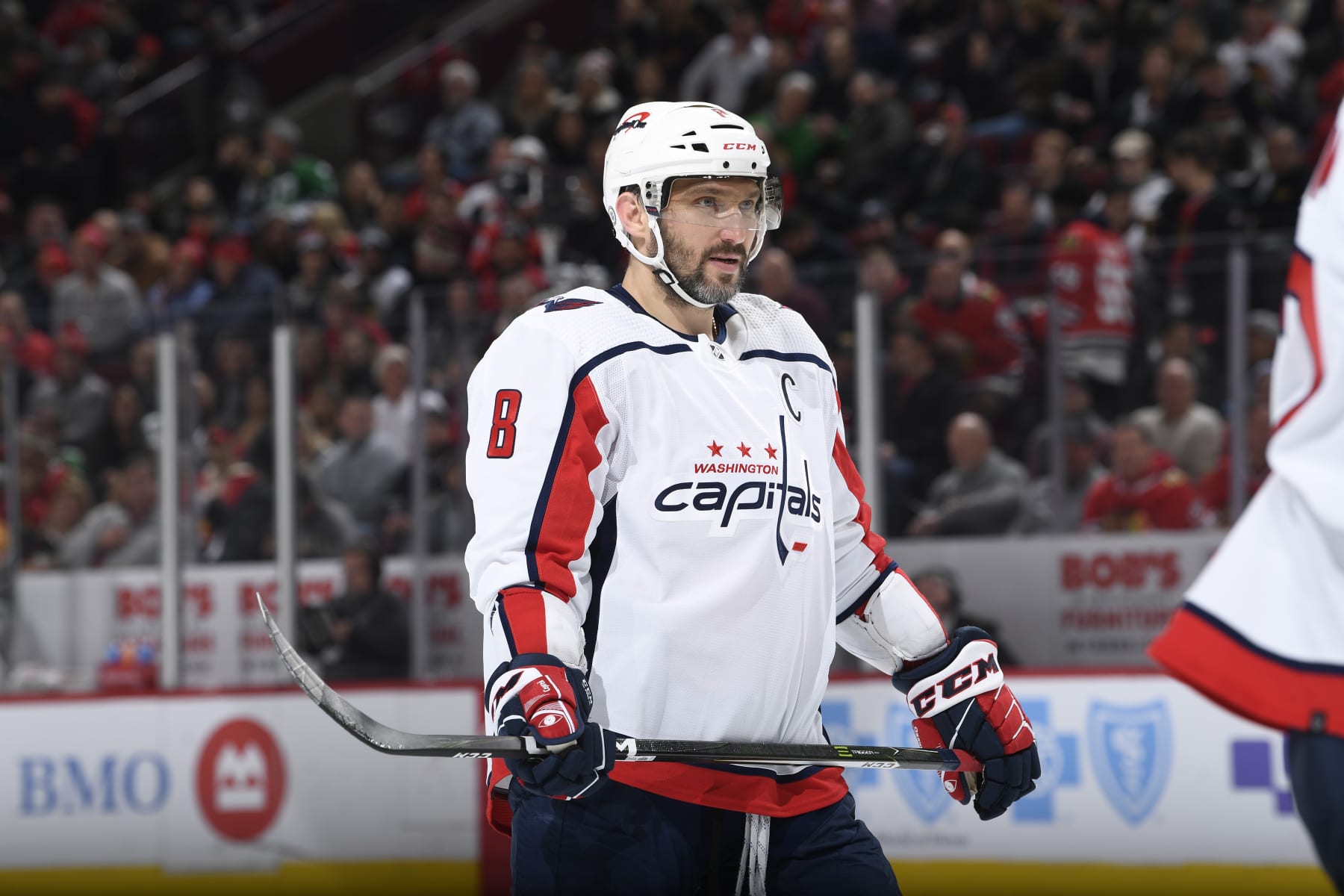 CHICAGO, ILLINOIS - DECEMBER 13: Alex Ovechkin #8 of the Washington Capitals looks on in the second period against the Chicago Blackhawks at United Center on December 13, 2022 in Chicago, Illinois. (Photo by Bill Smith/NHLI via Getty Images)